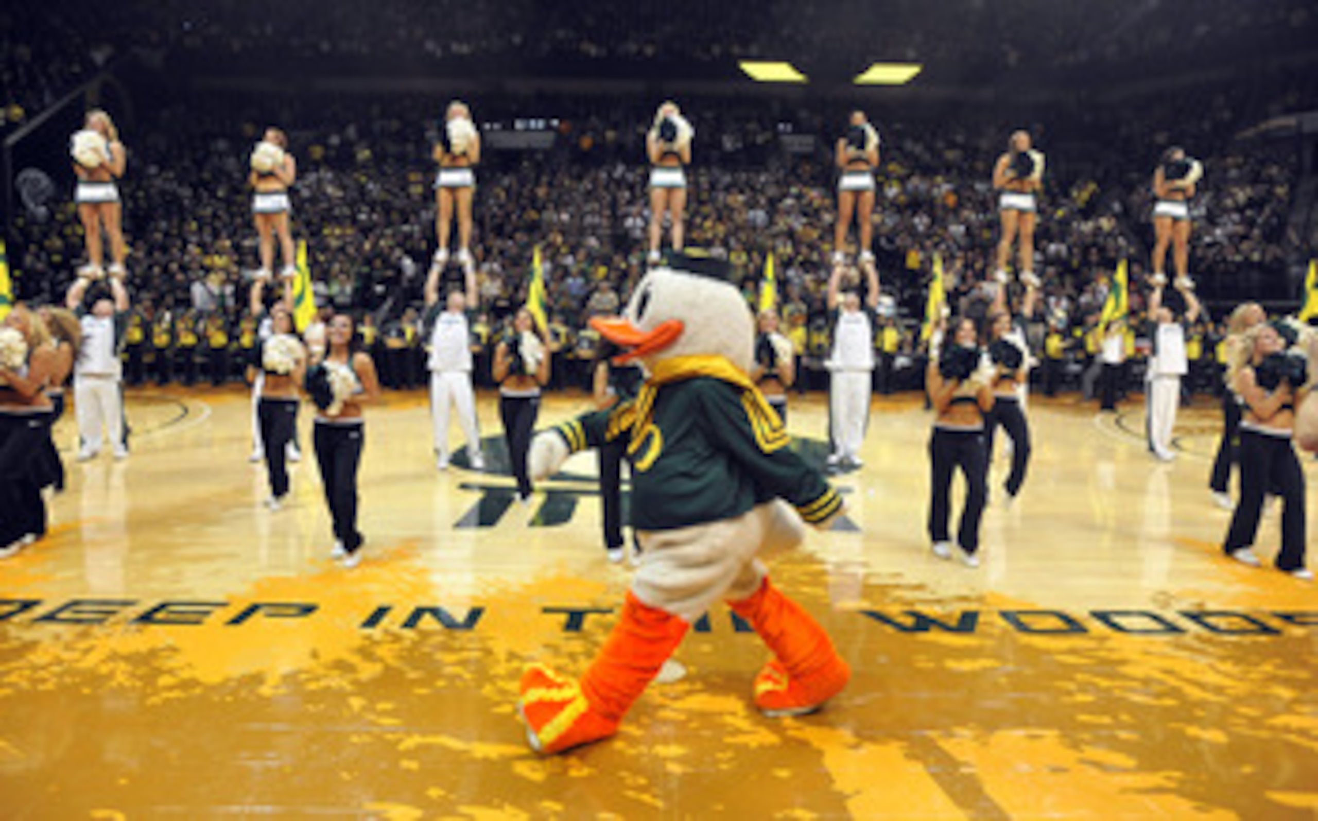 EUGENE, OR - JANUARY 13: 'Puddles', the Oregon Ducks mascot walks on the court during the pre-game ceremonies before the first game between the USC Trojans and the Oregon Ducks basketball teams at Matt Court on January 13, 2011 in Eugene, Oregon. The aren