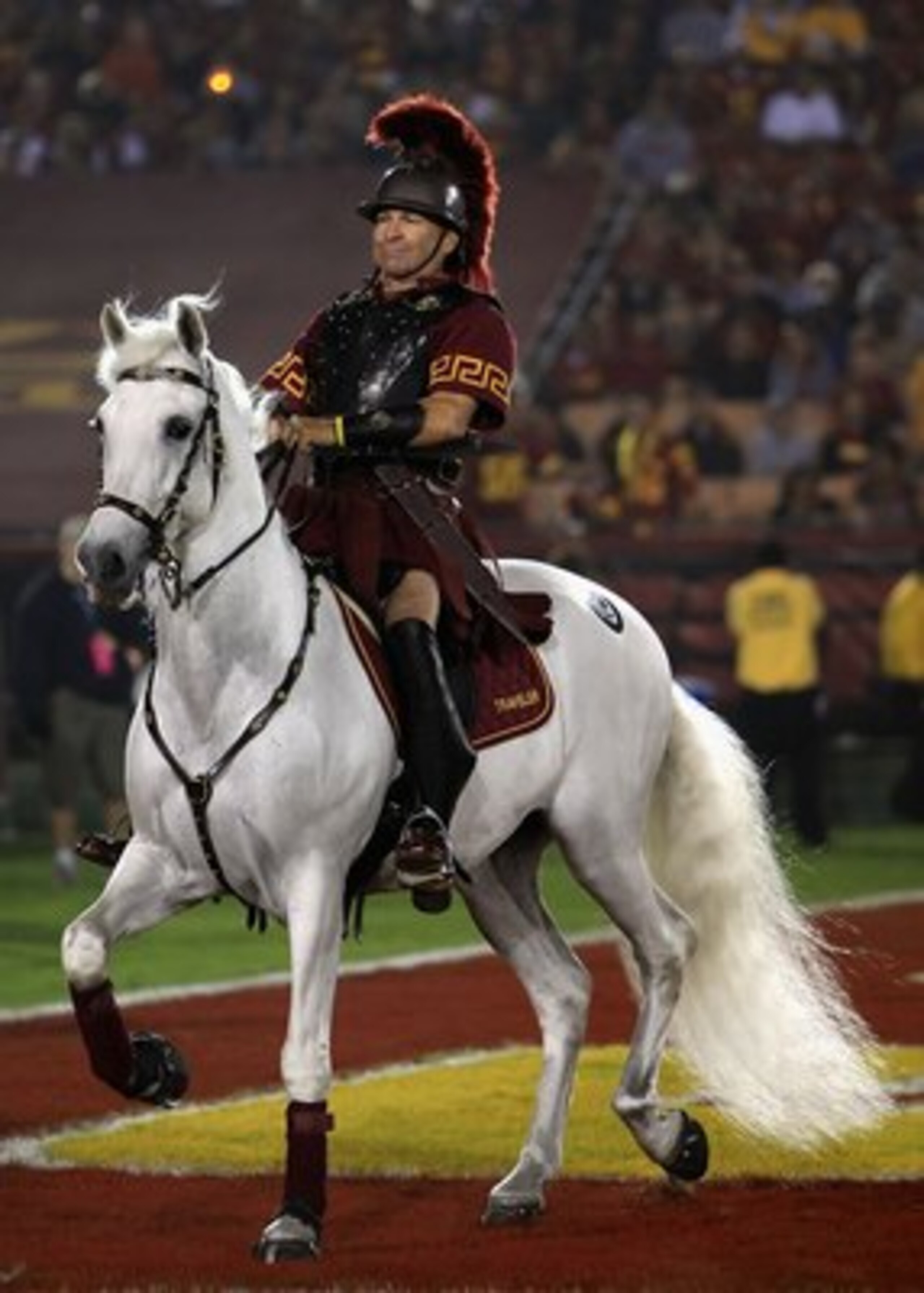 LOS ANGELES, CA - NOVEMBER 03:  The USC Trojans mascot 'Traveler' walks the end zone during the college football game against the Oregon State Beavers at the Los Angeles Memorial Coliseum on November 3, 2007 in Los Angeles, California. USC defeated Oregon