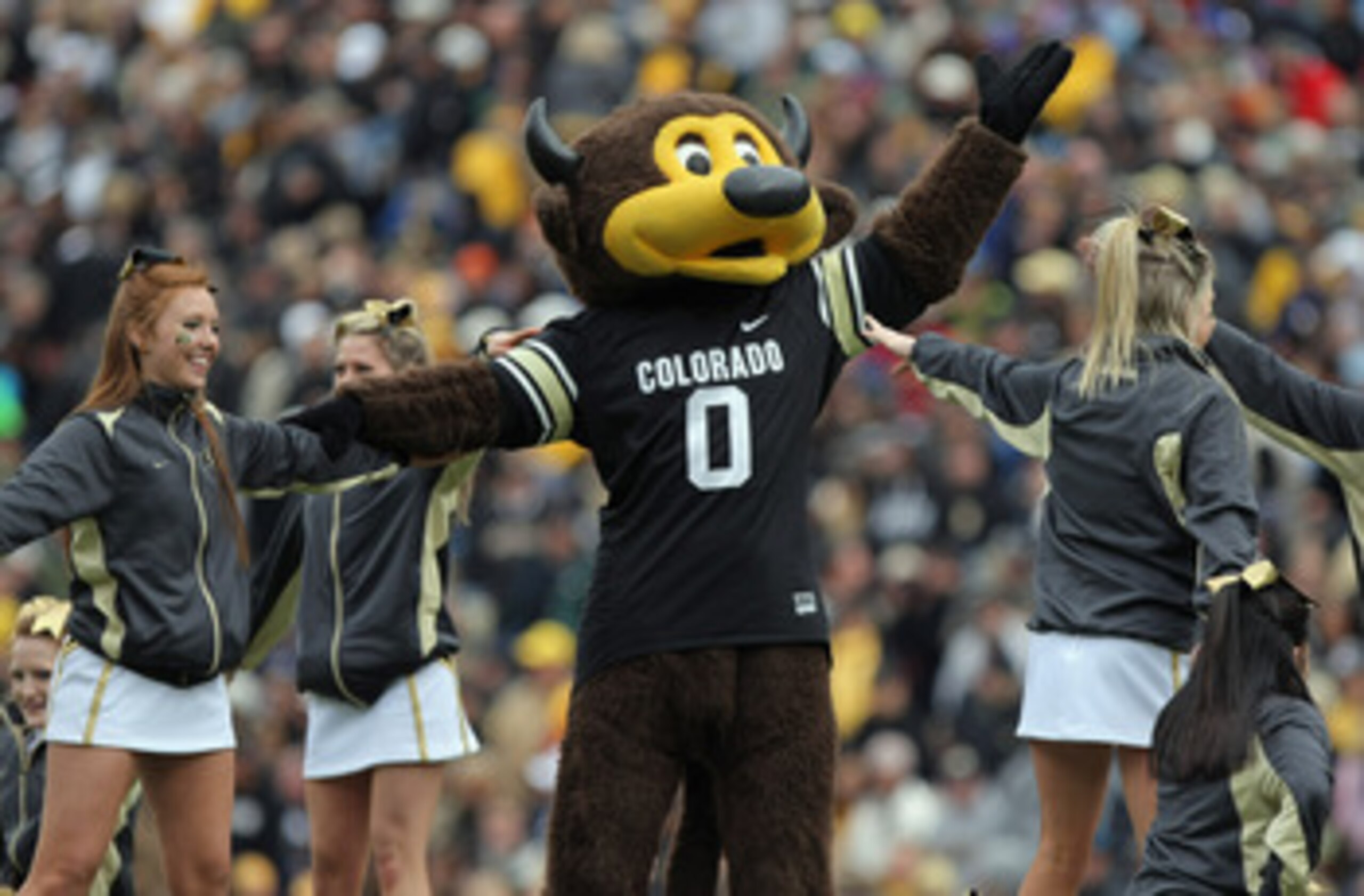 BOULDER, CO - NOVEMBER 13:  Chip, the Colorado Buffaloes mascot, does a stunt with the cheerleaders during a break in the action against the Iowa State Cyclones at Folsom Field on November 13, 2010 in Boulder, Colorado. Colorado defeated Iowa State 34-14.