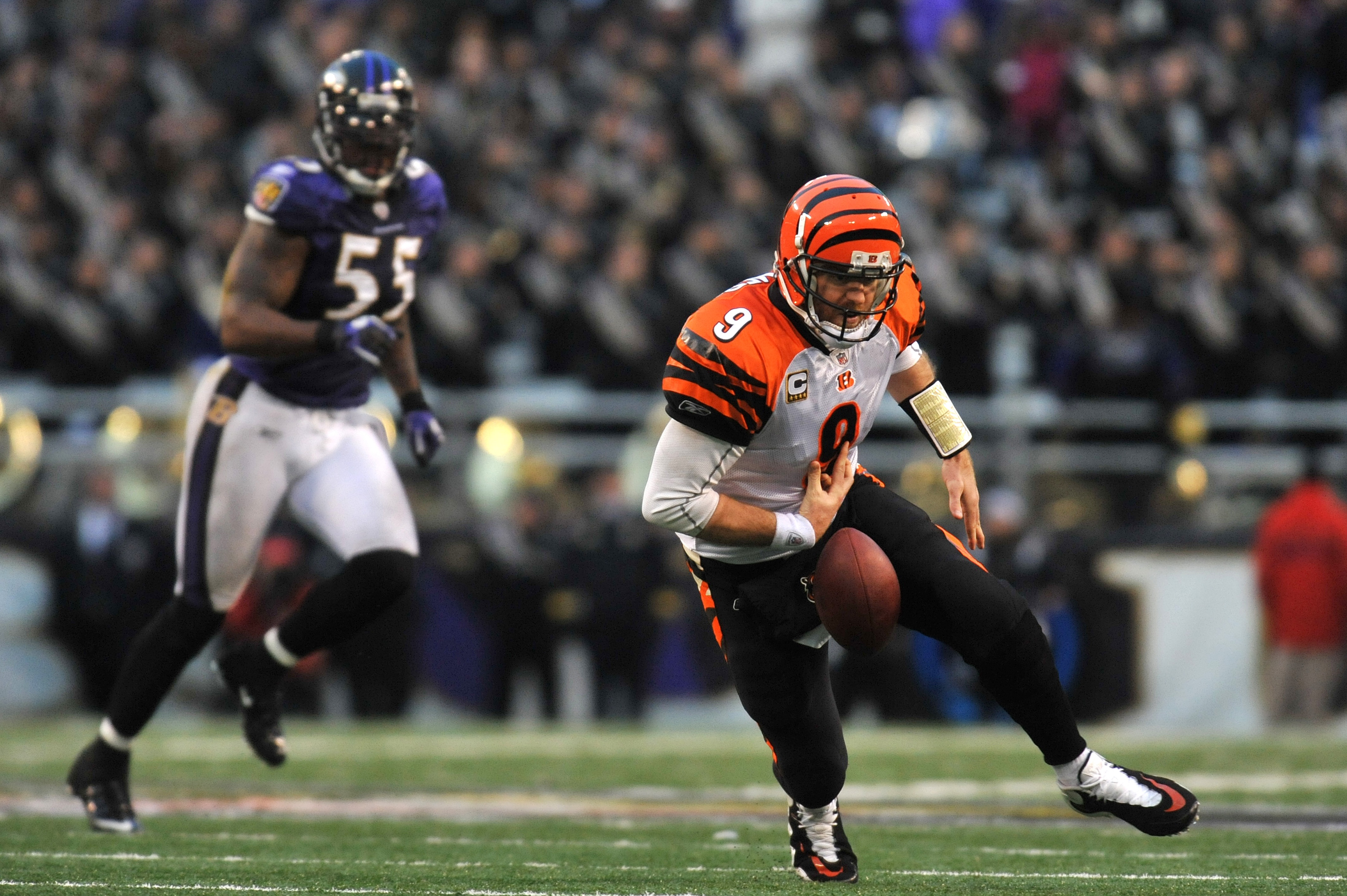 BALTIMORE, MD - JANUARY 2:  Carson Palmer #9 of the Cincinnati Bengals fumbles the ball with less than two  minutes to go in the game against the Baltimore Ravens at M&T Bank Stadium on January 2, 2011 in Baltimore, Maryland. The Ravens defeated the Benga