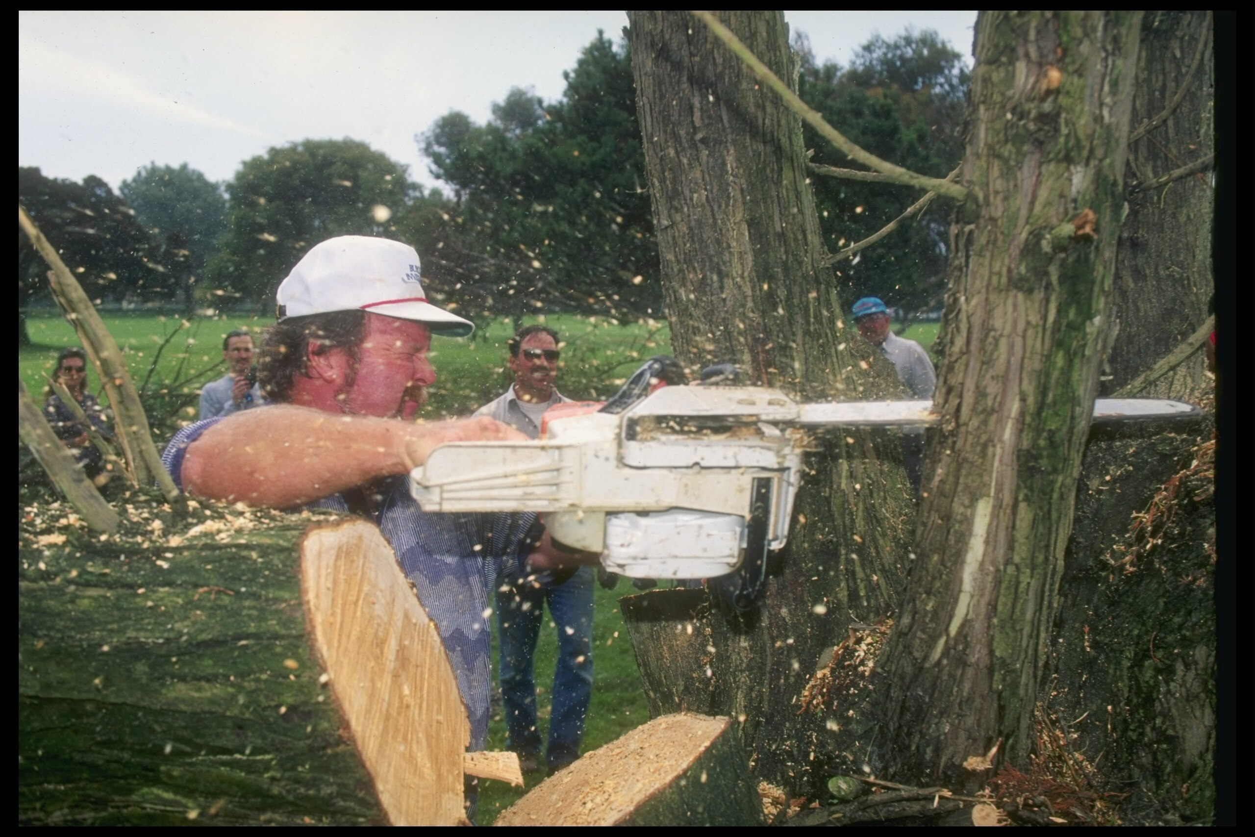 7 Aug 1995:  Craig Stadler cuts down a tree at the Torrey Pines Golf Course in San Diego, California. Mandatory Credit: Stephen Dunn  /Allsport