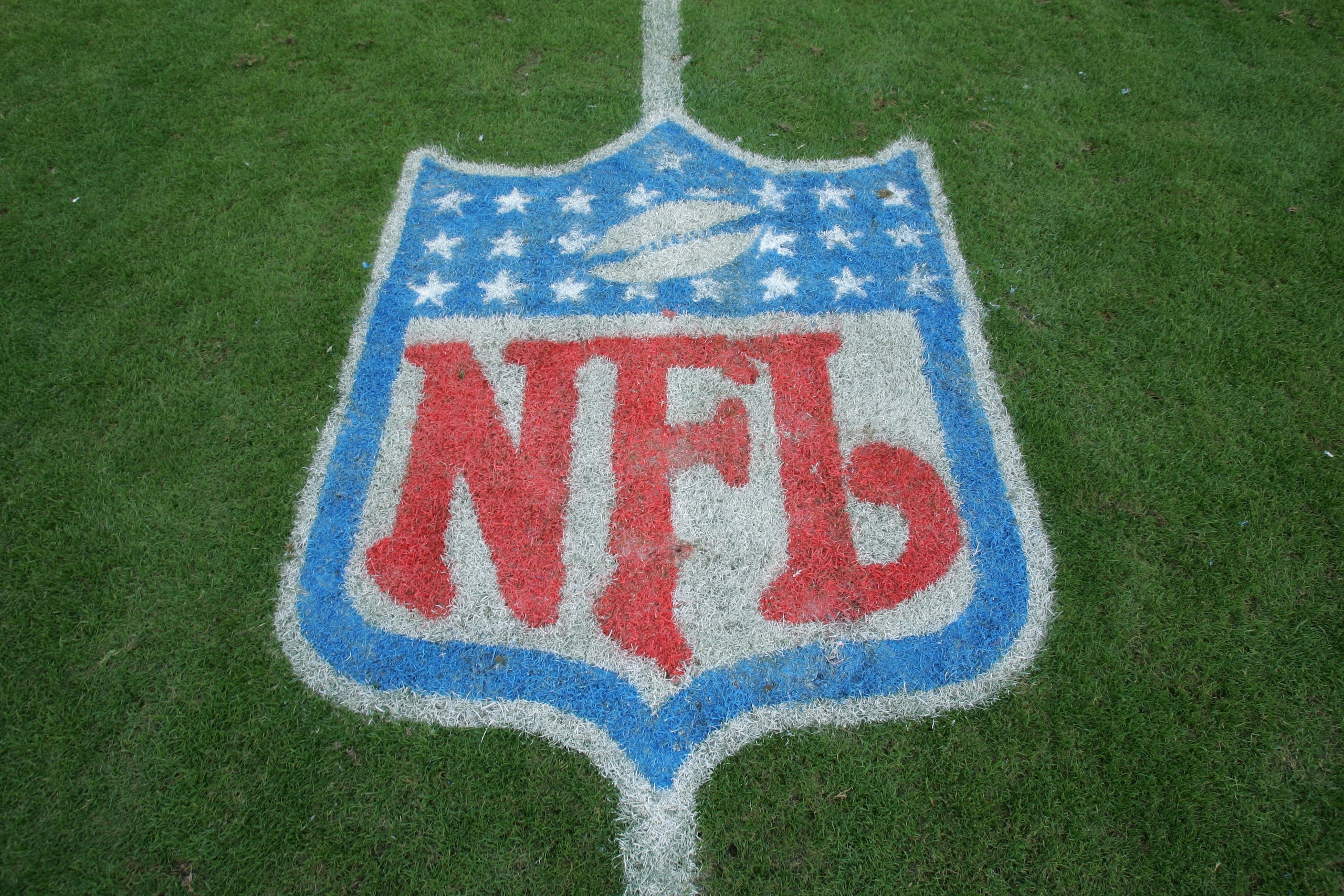 TAMPA, FL - DECEMBER 10:  The NFL Shield logo is shown on the field before the Tampa Bay Buccaneers game against the Atlanta Falcons on December 10, 2006 at Raymond James Stadium in Tampa, Florida. The Falcons defeated the Bucs 17-6. (Photo by Doug Pensin