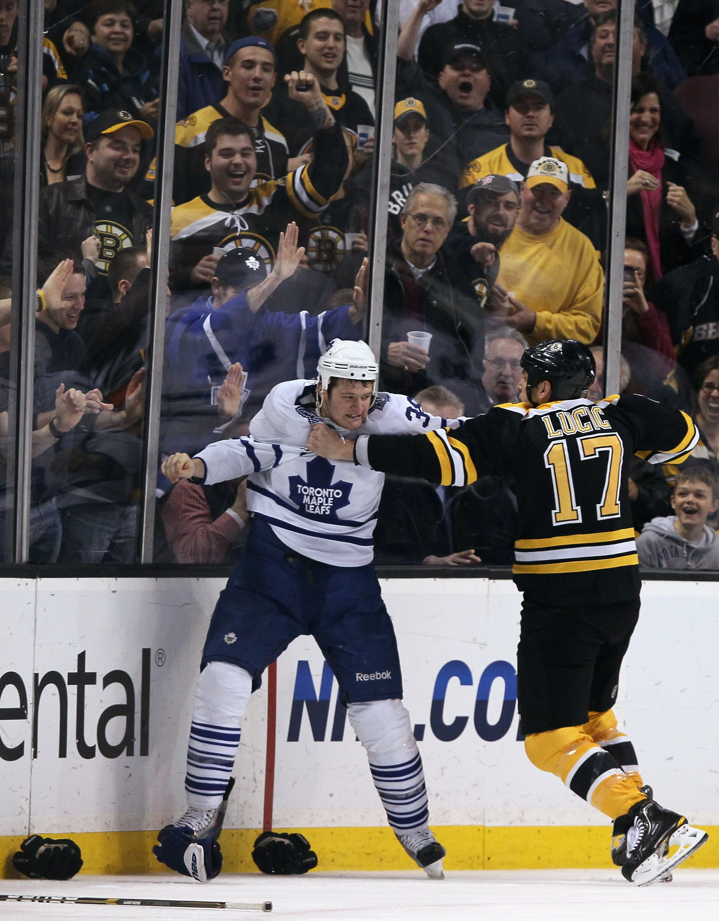 BOSTON, MA - MARCH 31:  Jay Rosehill #38 of the Toronto Maple Leafs and Milan Lucic #17 of the Boston Bruins fight in the second period on March 31, 2011 at the TD Garden in Boston, Massachusetts.  (Photo by Elsa/Getty Images)