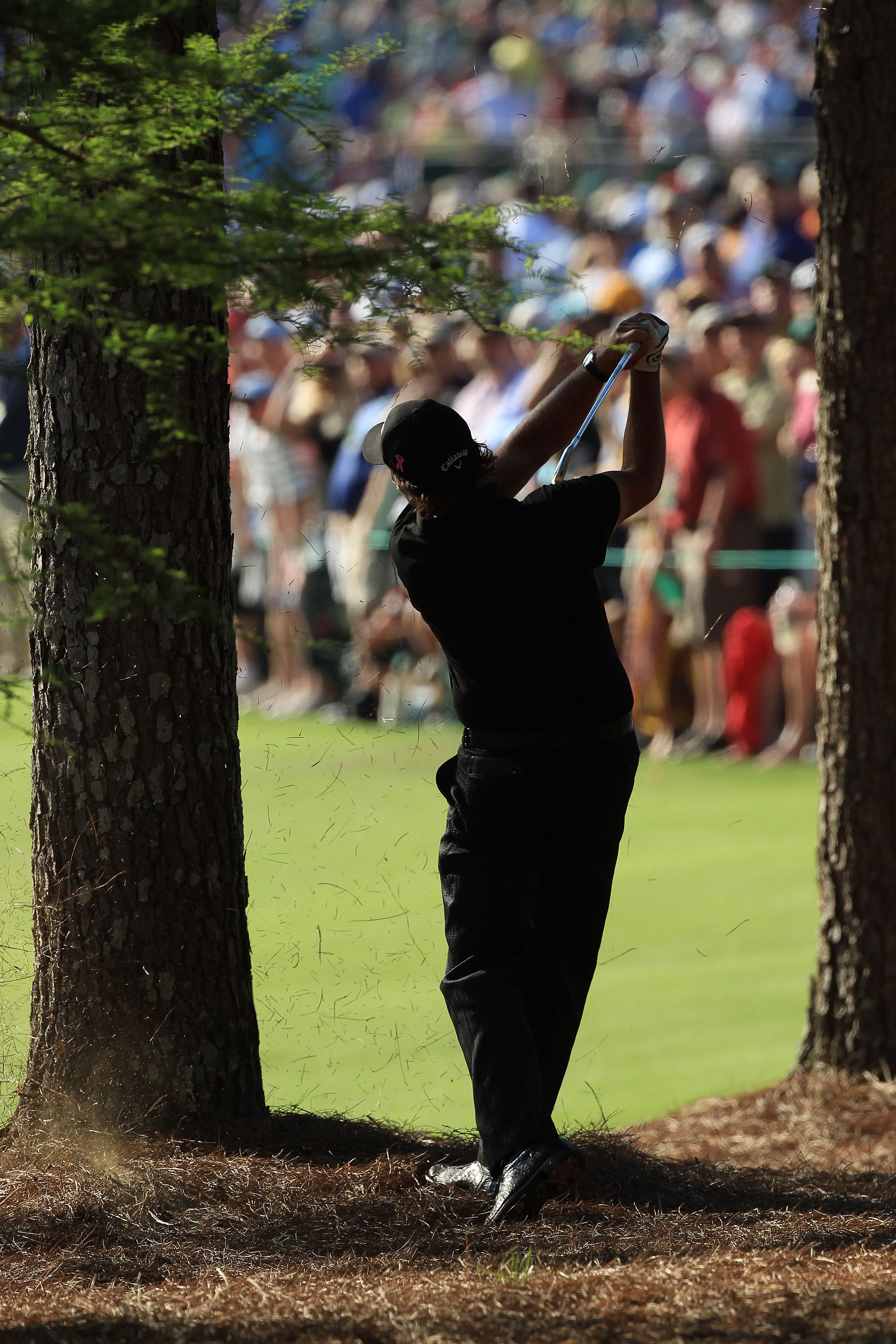 AUGUSTA, GA - APRIL 11:  Phil Mickelson plays a shot from the pine needles on the 13th hole during the final round of the 2010 Masters Tournament at Augusta National Golf Club on April 11, 2010 in Augusta, Georgia.  (Photo by David Cannon/Getty Images)