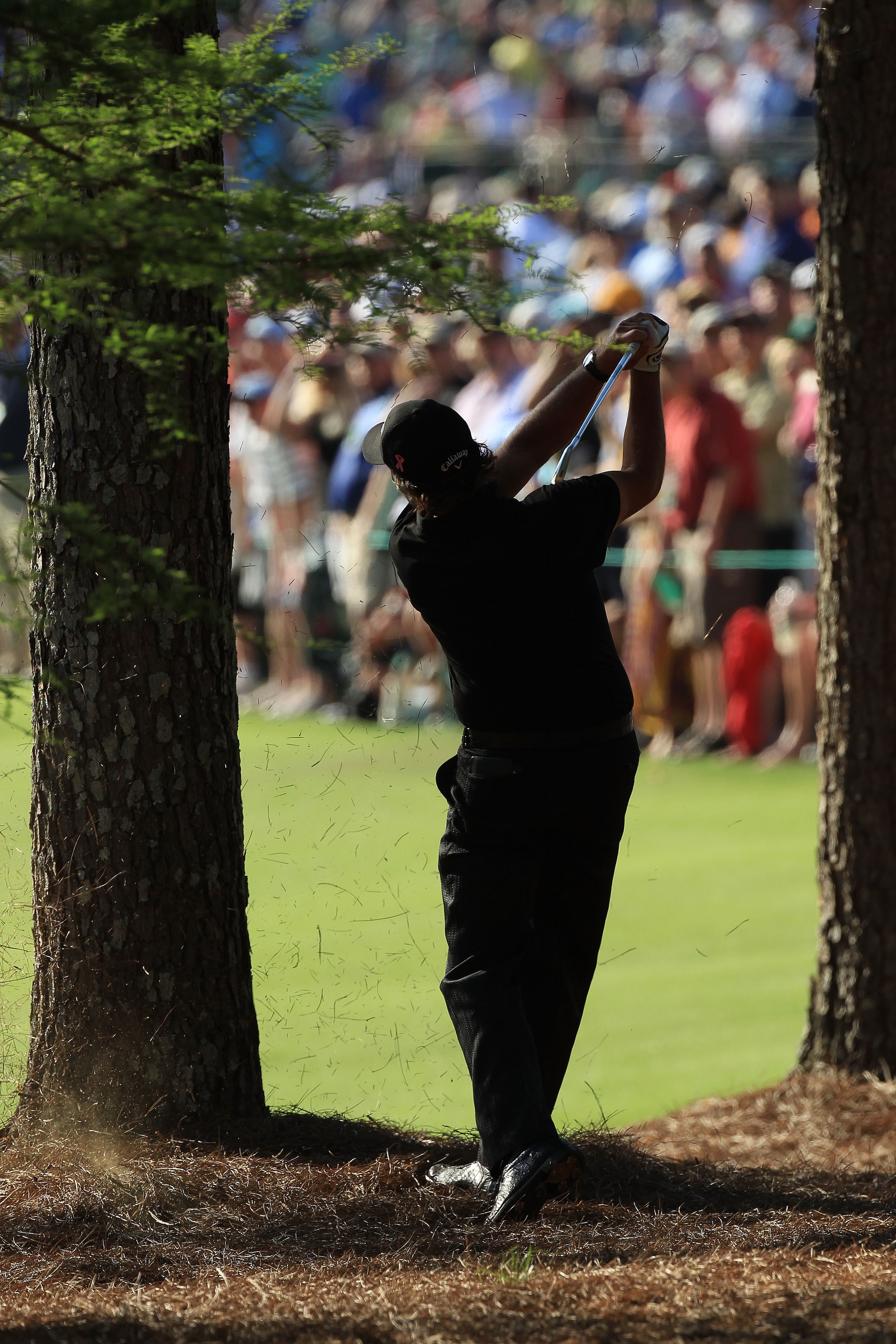 AUGUSTA, GA - APRIL 11:  Phil Mickelson plays a shot from the pine needles on the 13th hole during the final round of the 2010 Masters Tournament at Augusta National Golf Club on April 11, 2010 in Augusta, Georgia.  (Photo by David Cannon/Getty Images)