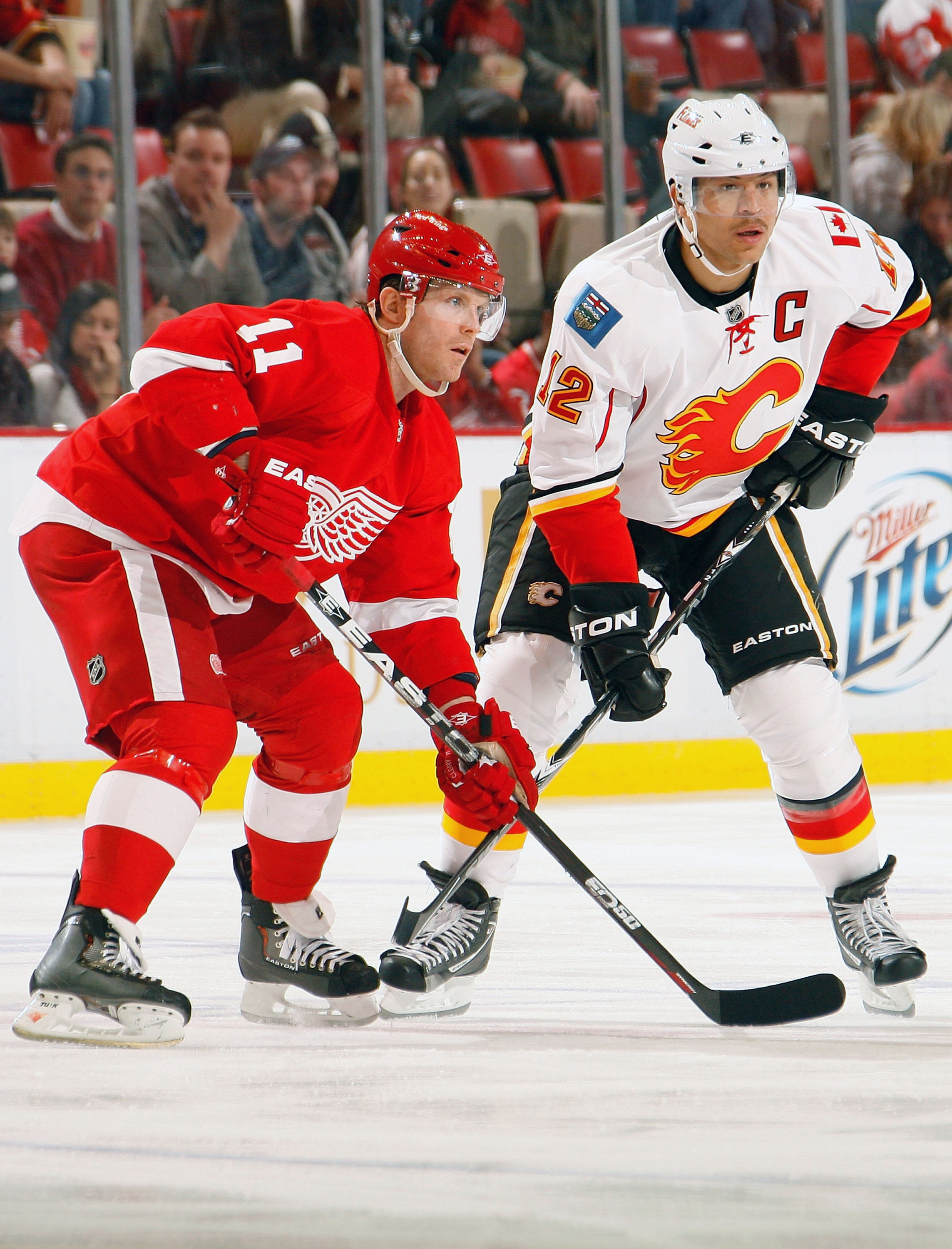 DETROIT, MI - NOVEMBER 21:  Jarome Iginla #12 of the Calgary Flames battles for position with Dan Cleary #11 of the Detroit Red Wings during their NHL game at Joe Louis Arena on November 21, 2010 in Detroit, Michigan.(Photo by Dave Sandford/Getty Images)