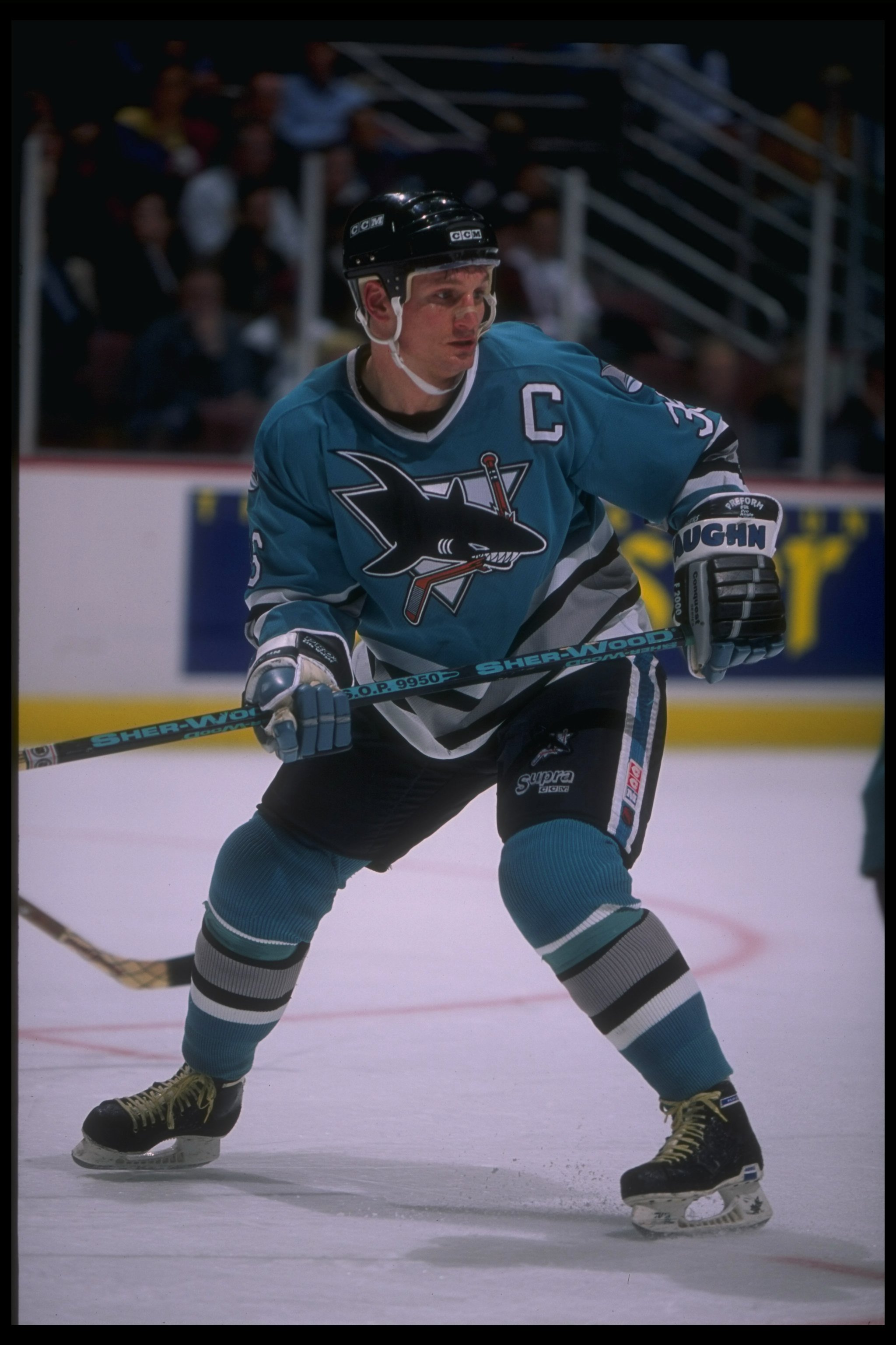 17 Apr 1995: Leftwinger Jeff Ogders of the San Jose Sharks looks on during a game against the Anaheim Mighty Ducks at Arrowhead Pond in Anaheim, California. The Ducks won the game, 3-0.