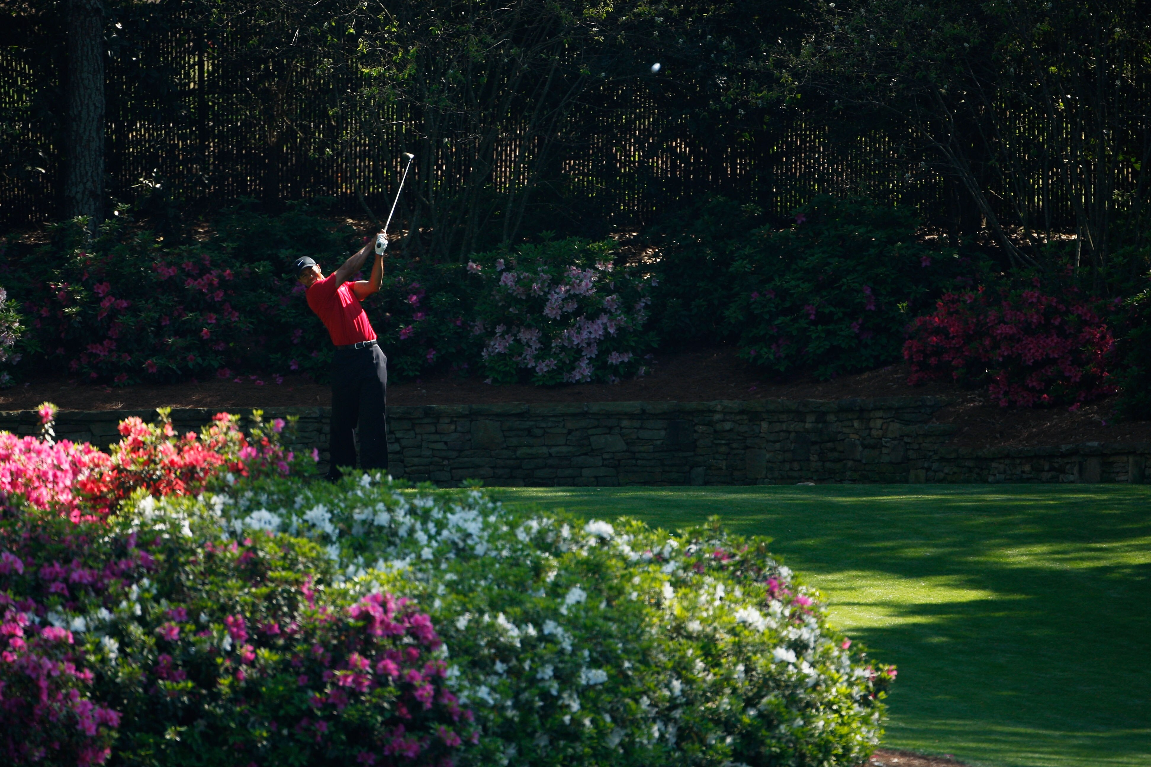 AUGUSTA, GA - APRIL 12:  Tiger Woods plays his tee shot on the 13th hole during the final round of the 2009 Masters Tournament at Augusta National Golf Club on April 12, 2009 in Augusta, Georgia.  (Photo by Jamie Squire/Getty Images)