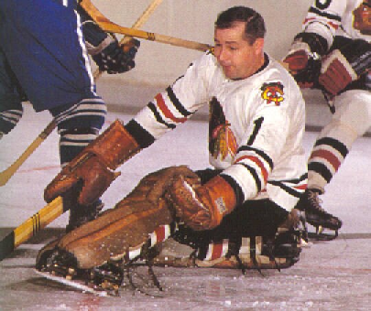 courtesy of hockeygoalies.com