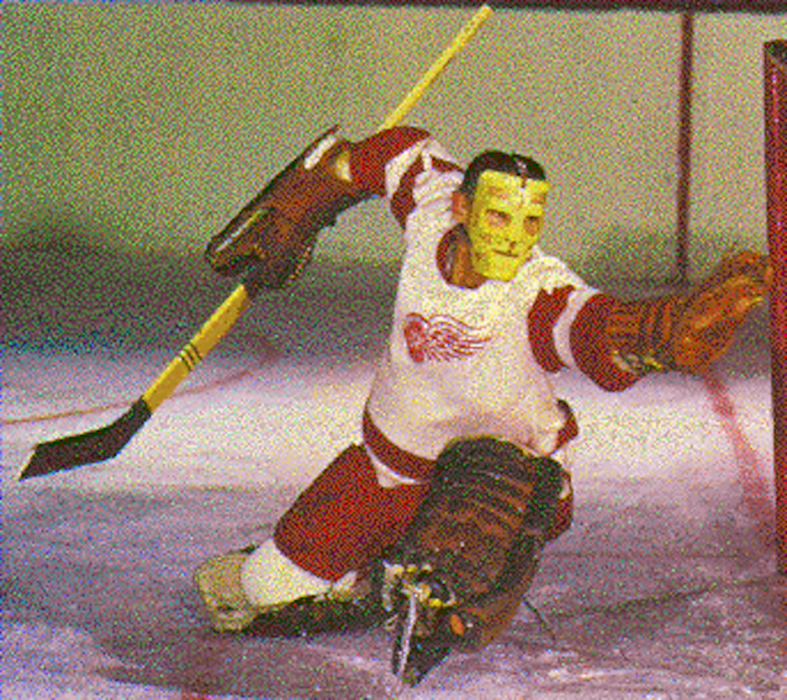 courtesy of hockeygoalies.org