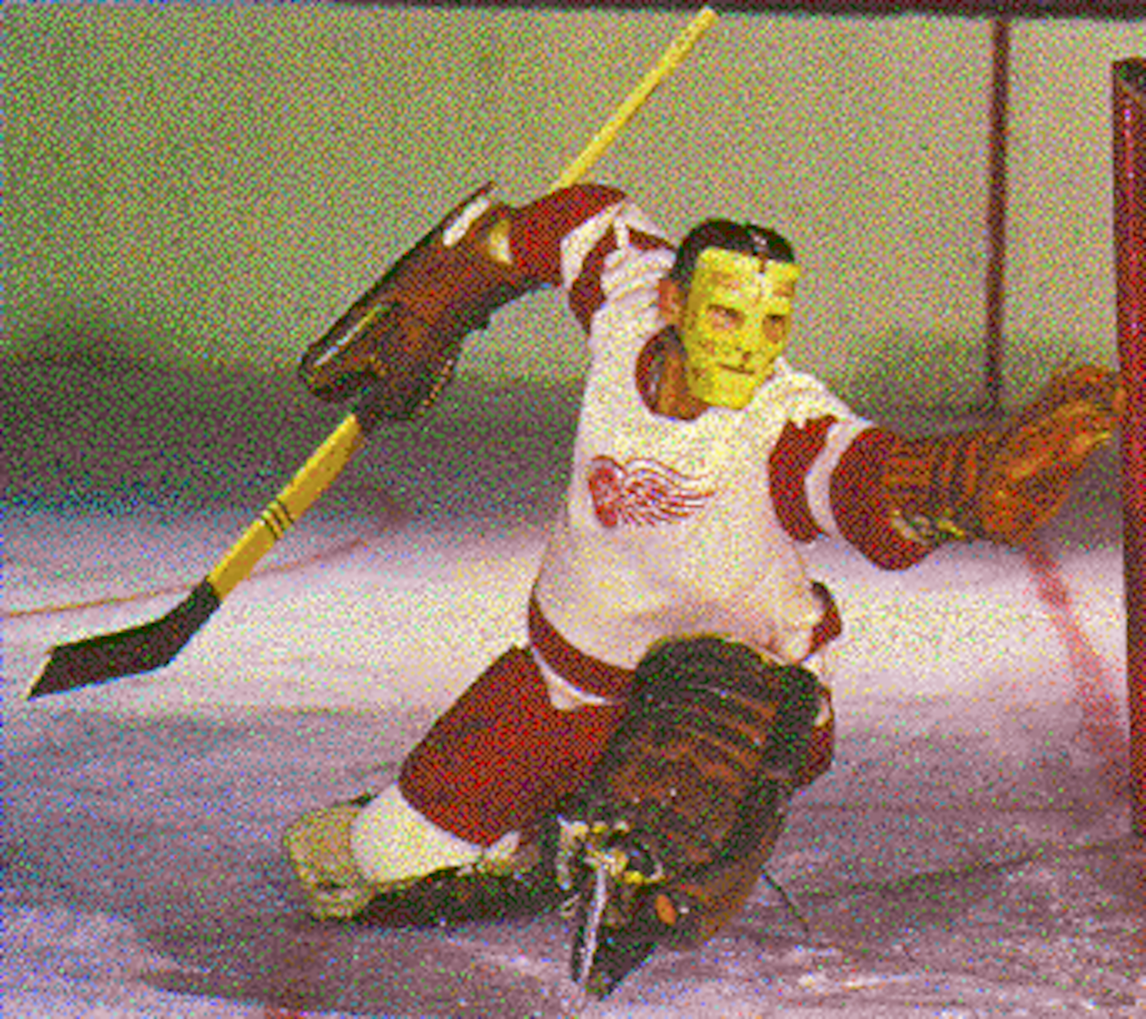 courtesy of hockeygoalies.org