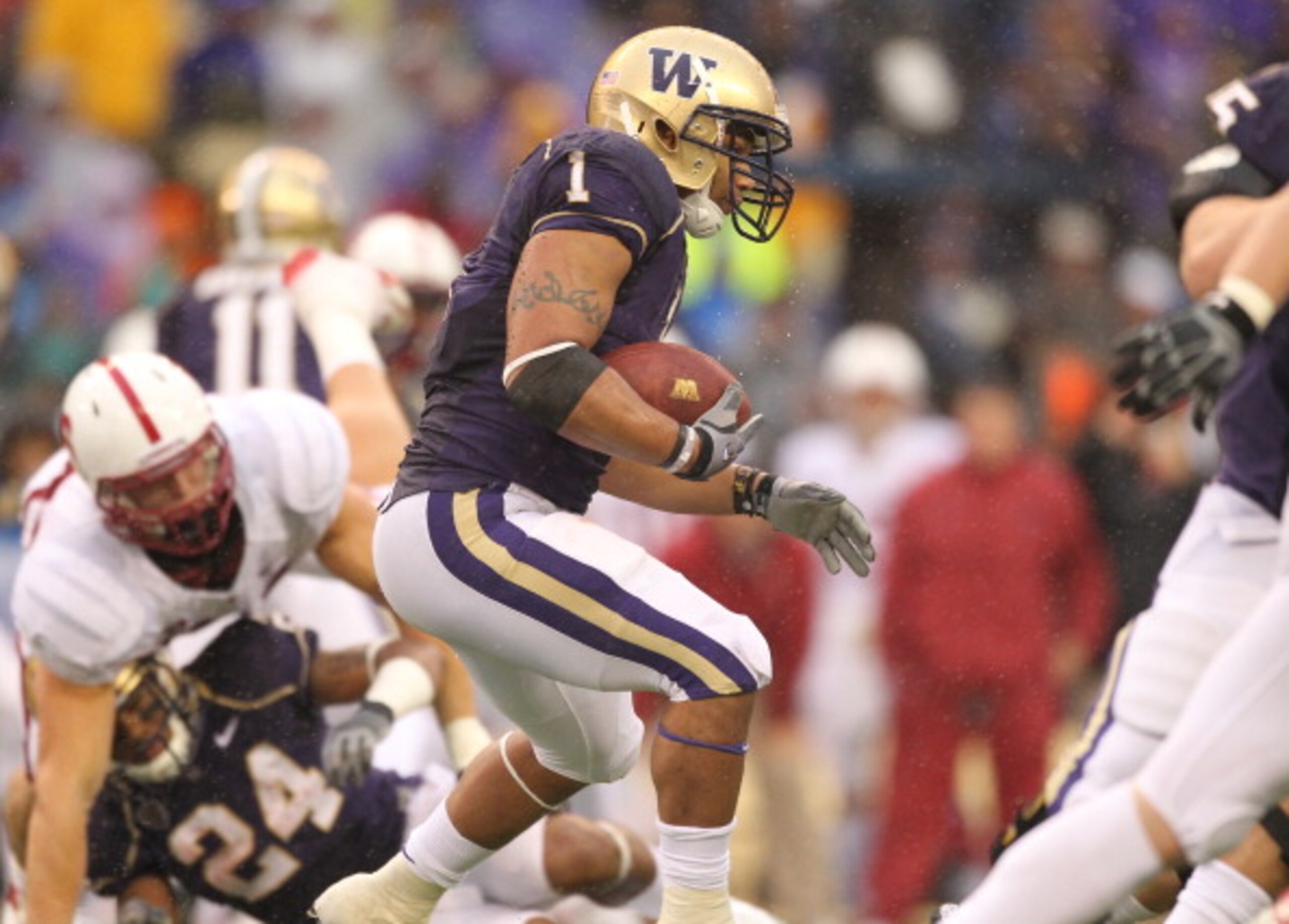 SEATTLE - OCTOBER 30:  Running back Chris Polk #1 of the Washington Huskies rushes against the Stanford Cardinal on October 30, 2010 at Husky Stadium in Seattle, Washington. Stanford won 41-0. (Photo by Otto Greule Jr/Getty Images)