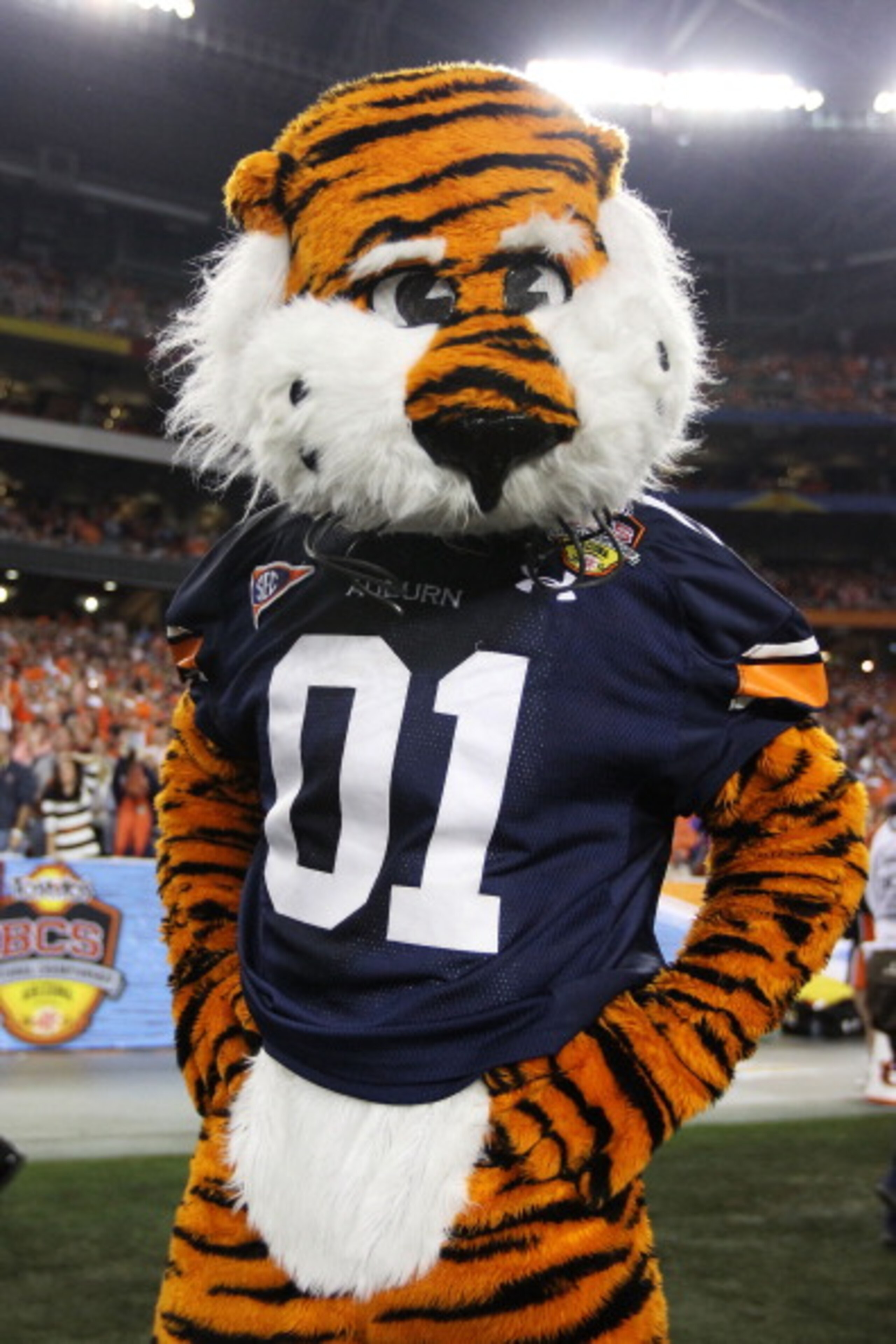 GLENDALE, AZ - JANUARY 10: Aubie, the Auburn Tigers mascot performs at their game against the Oregon Ducks during the Tostitos BCS National Championship Game at University of Phoenix Stadium on January 10, 2011 in Glendale, Arizona. (Photo by Christian GLENDALE, AZ - JANUARY 10: Aubie, the Auburn Tigers mascot performs at their game against the Oregon Ducks during the Tostitos BCS National Championship Game at University of Phoenix Stadium on January 10, 2011 in Glendale, Arizona. (Photo by Christian