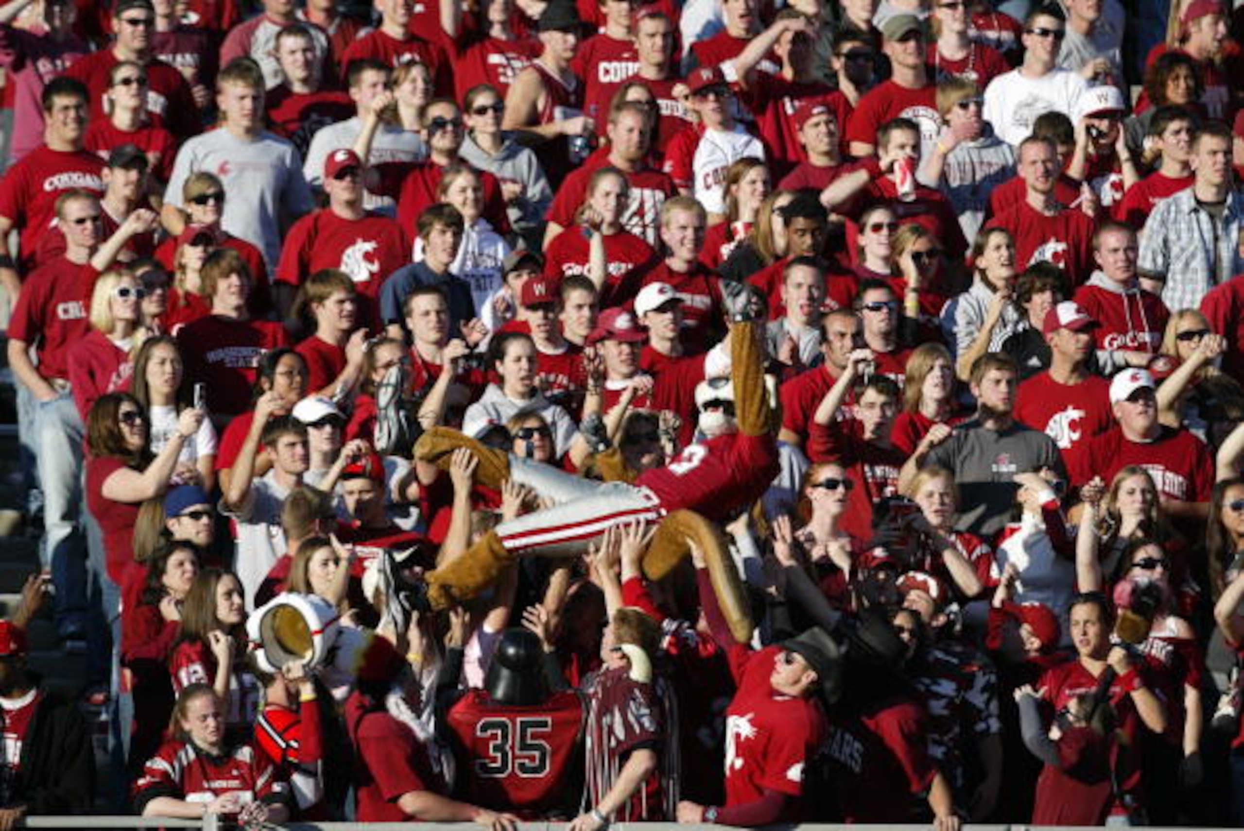 PULLMAN, WA - OCTOBER 21:  Washington State Cougars fans and their mascot cheer during the game against the Oregon Ducks on October 21, 2006 at Martin Stadium in Pullman, Washington. Washington State won 34-23. (Photo by Otto Greule Jr/Getty Images)