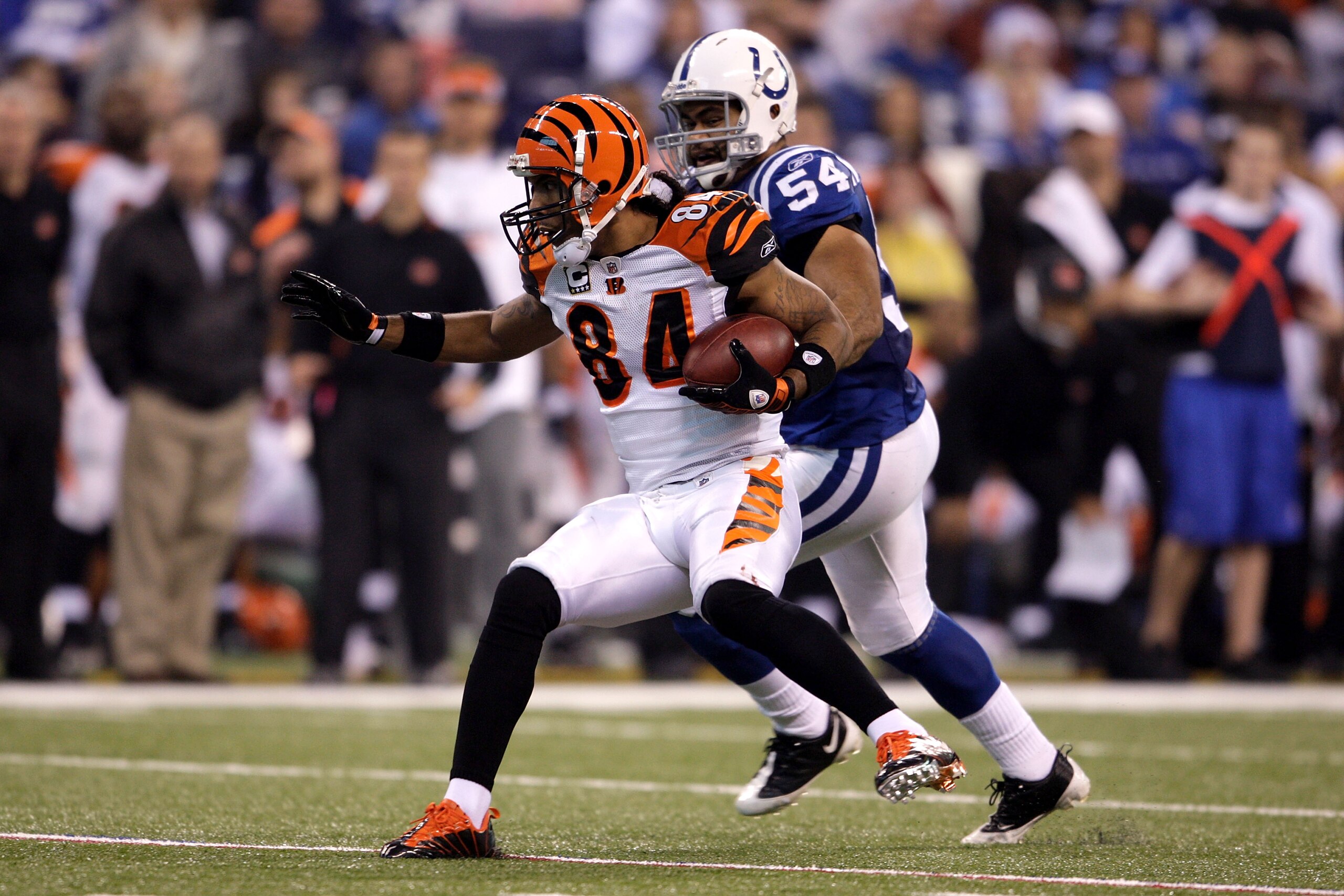 INDIANAPOLIS - DECEMBER 07: T.J. Houshmanzadeh #84 of the Cincinnati Bengals runs for yards after the catch against Freddy Keiaho #54 of the Indianapolis Colts at Lucas Oil Stadium on December 7, 2008 in Indianapolis, Indiana. (Photo by Andy Lyons/Getty INDIANAPOLIS - DECEMBER 07: T.J. Houshmanzadeh #84 of the Cincinnati Bengals runs for yards after the catch against Freddy Keiaho #54 of the Indianapolis Colts at Lucas Oil Stadium on December 7, 2008 in Indianapolis, Indiana. (Photo by Andy Lyons/Getty