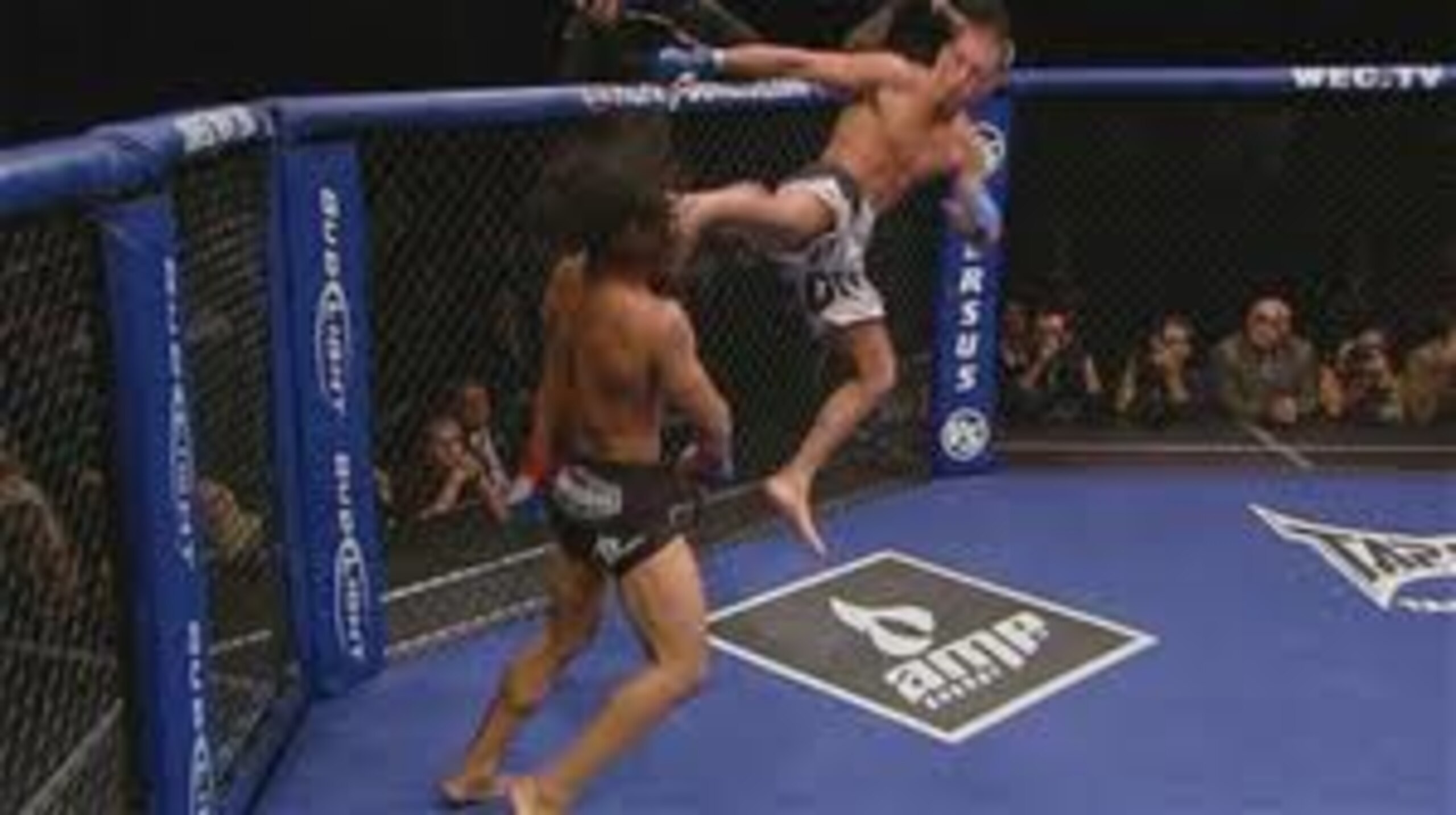 Anthony Pettis landing his "Showtime" kick Anthony Pettis landing his "Showtime" kick