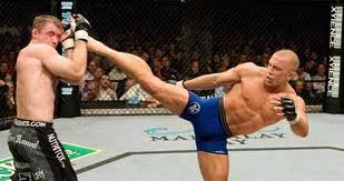 GSP delivering a brutal head kick to Matt Hughes