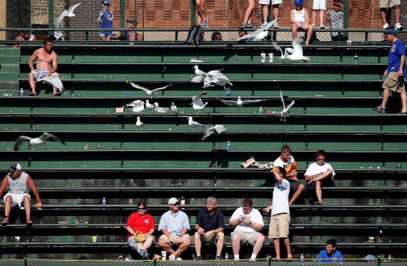 CHICAGO - JULY 21: Gulls invade the bleachers in right field during the 11th inning of a game between the Chicago Cubs and the Houston Astros at Wrigley Field on July 21, 2010 in Chicago, Illinois. The Astros defeated the Cubs 4-3 in 12 innings. (Photo by