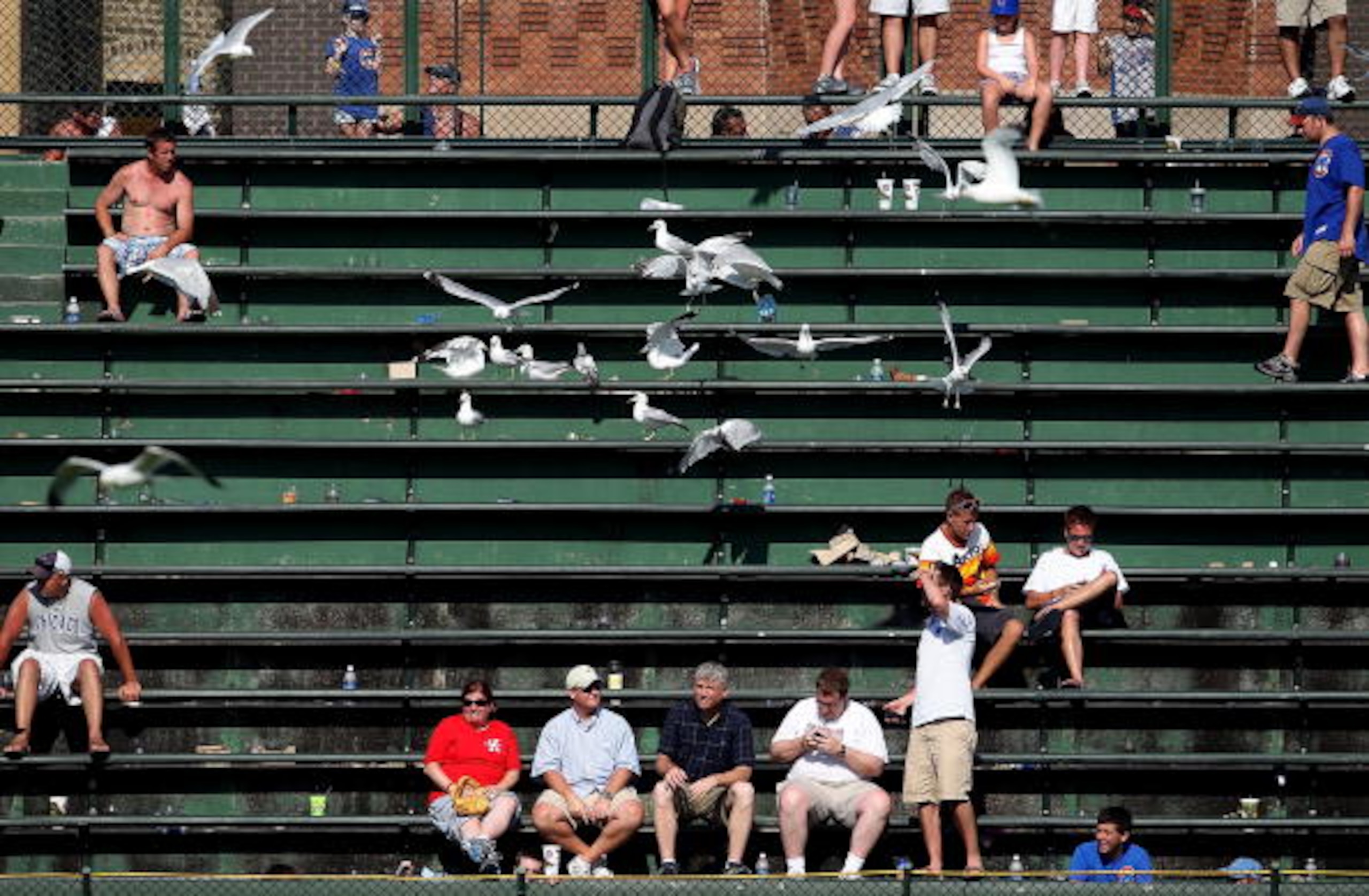 CHICAGO - JULY 21: Gulls invade the bleachers in right field during the 11th inning of a game between the Chicago Cubs and the Houston Astros at Wrigley Field on July 21, 2010 in Chicago, Illinois. The Astros defeated the Cubs 4-3 in 12 innings. (Photo by