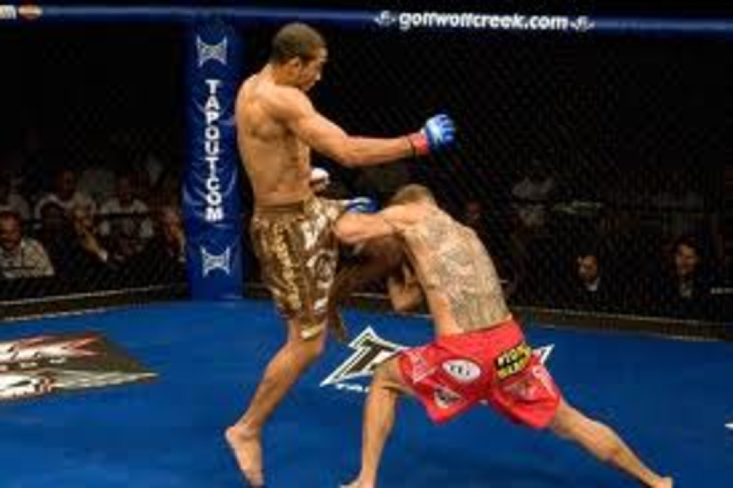 Jose Aldo knocking out Cub Swanson Jose Aldo knocking out Cub Swanson