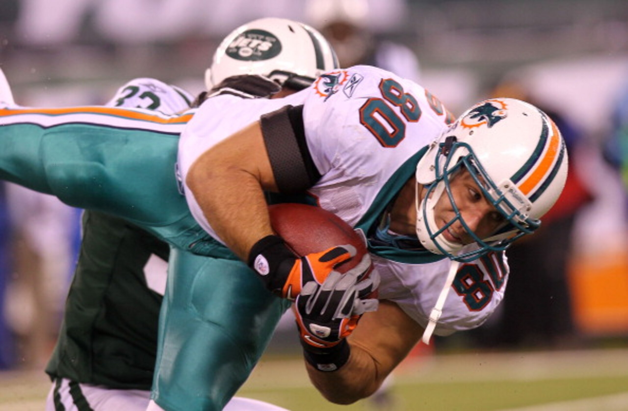 EAST RUTHERFORD, NJ - DECEMBER 12: Anthony Fasano #80 of the Miami Dolphins pulls in a pass against the New York Jets at New Meadowlands Stadium on December 12, 2010 in East Rutherford, New Jersey.  (Photo by Nick Laham/Getty Images)