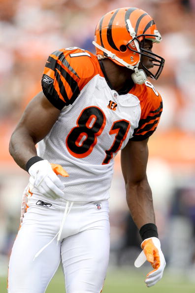 CINCINNATI - SEPTEMBER 19:  Terrell Owens #81 of the Cincinatti Bengals in action against the Baltimore Ravens at Paul Brown Stadium on September 19, 2010 in Cincinnati, Ohio.  (Photo by Matthew Stockman/Getty Images)