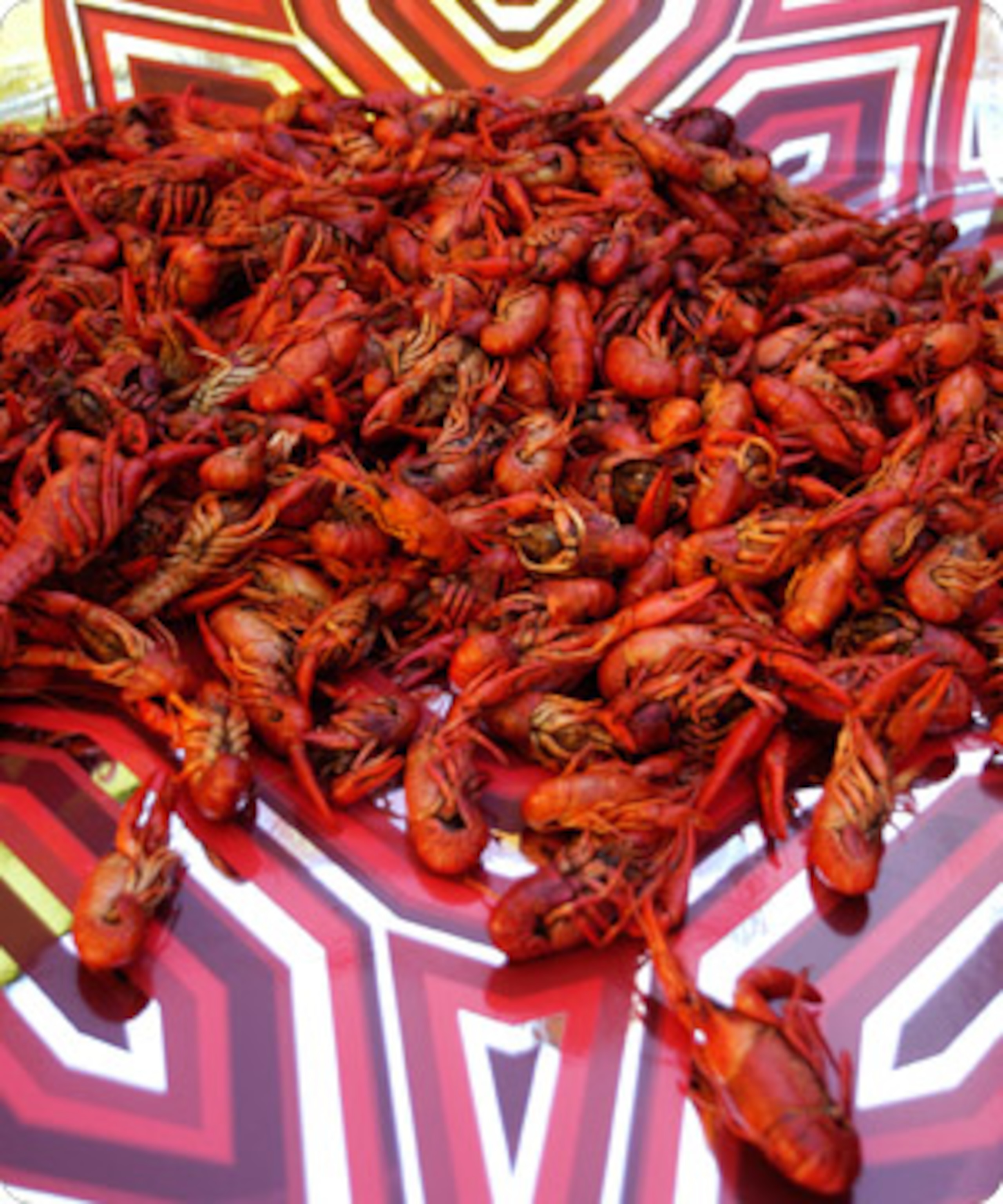 Crawdads are like little lobsters. What's not to love?