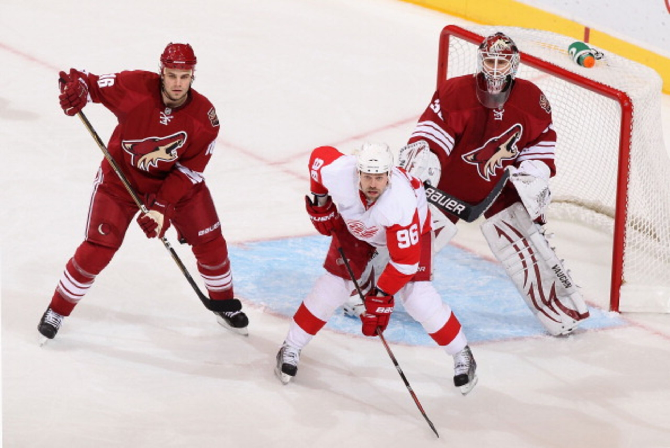 GLENDALE, AZ - MARCH 05:  Tomas Holmstrom #96 of the Detroit Red Wings sets up in front of goaltender Ilya Bryzgalov #30 of the Phoenix Coyotes during the NHL game at Jobing.com Arena on March 5, 2011 in Glendale, Arizona. The Coyotes defeated the Red Win