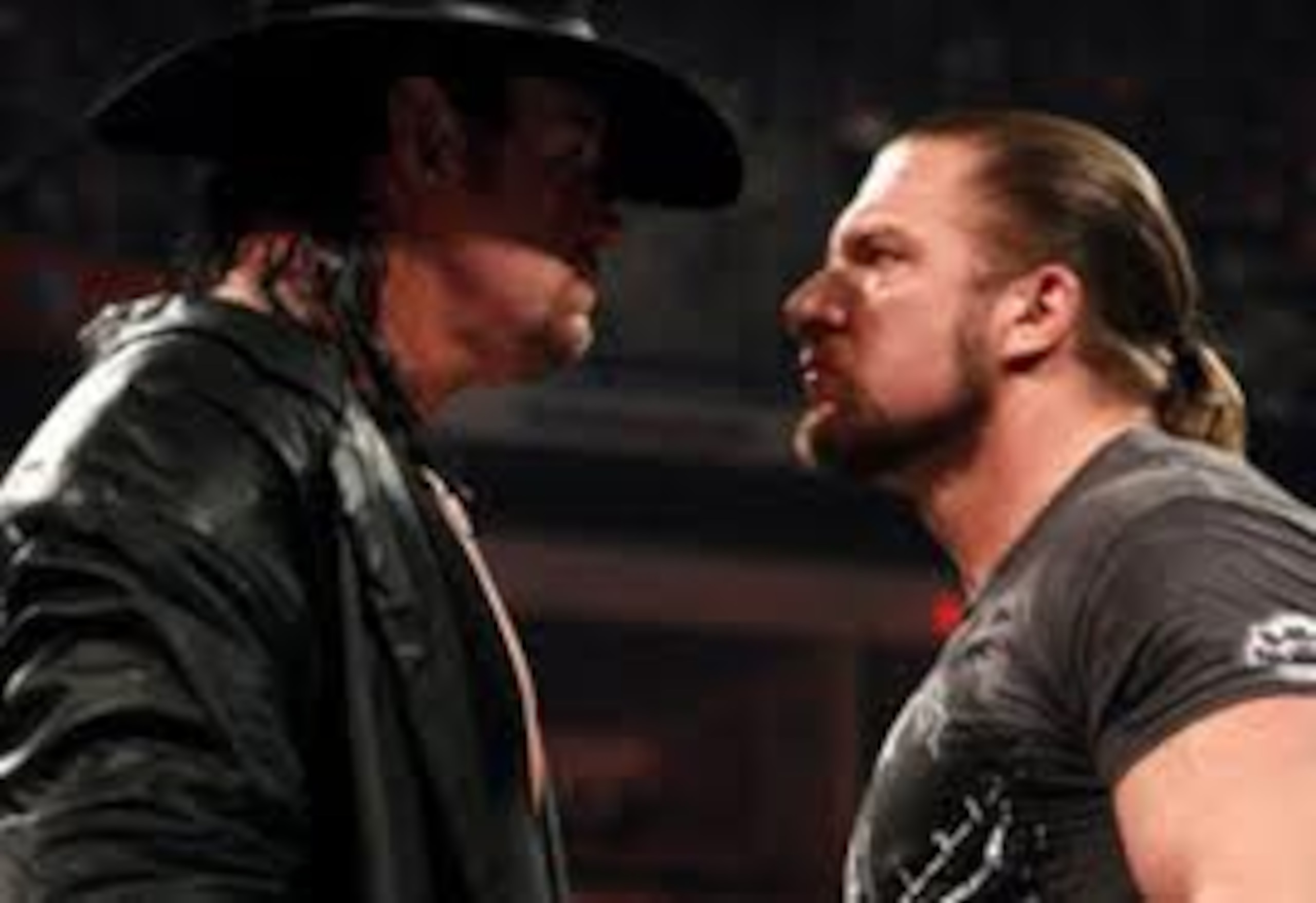 Undertaker and Triple H