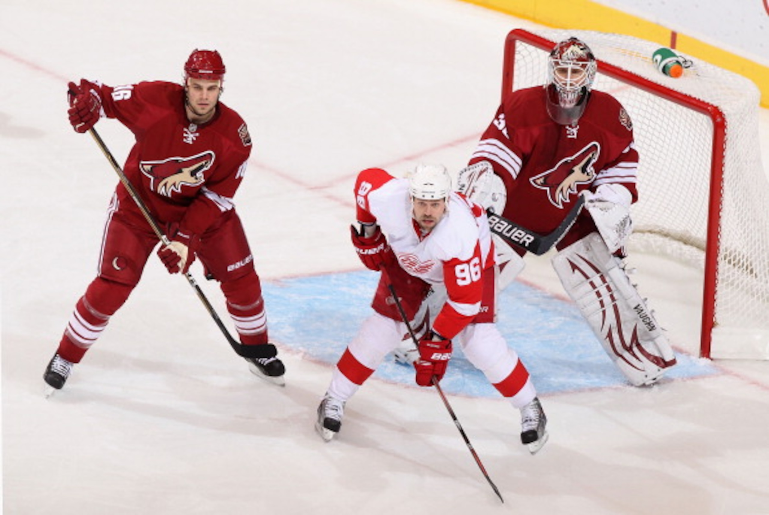 GLENDALE, AZ - MARCH 05:  Tomas Holmstrom #96 of the Detroit Red Wings sets up in front of goaltender Ilya Bryzgalov #30 of the Phoenix Coyotes during the NHL game at Jobing.com Arena on March 5, 2011 in Glendale, Arizona. The Coyotes defeated the Red Win