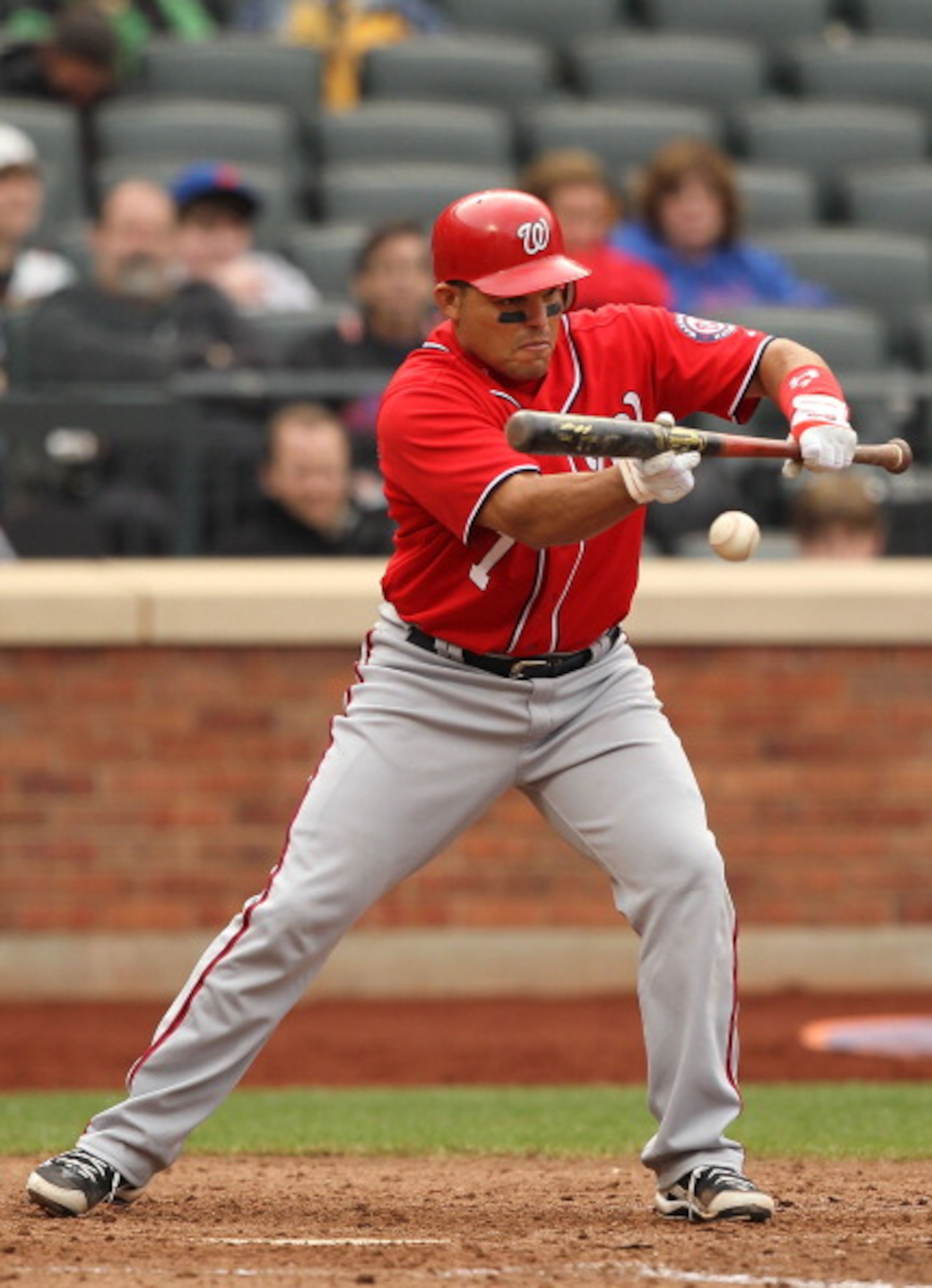 NEW YORK, NY - APRIL 10:  Ivan Rodriguez #7  of the Washington Nationals bunts against  the New York Mets during their game on April 10, 2011 at Citi Field in the Flushing neighborhood of the Queens borough of New York City.  (Photo by Al Bello/Getty Imag