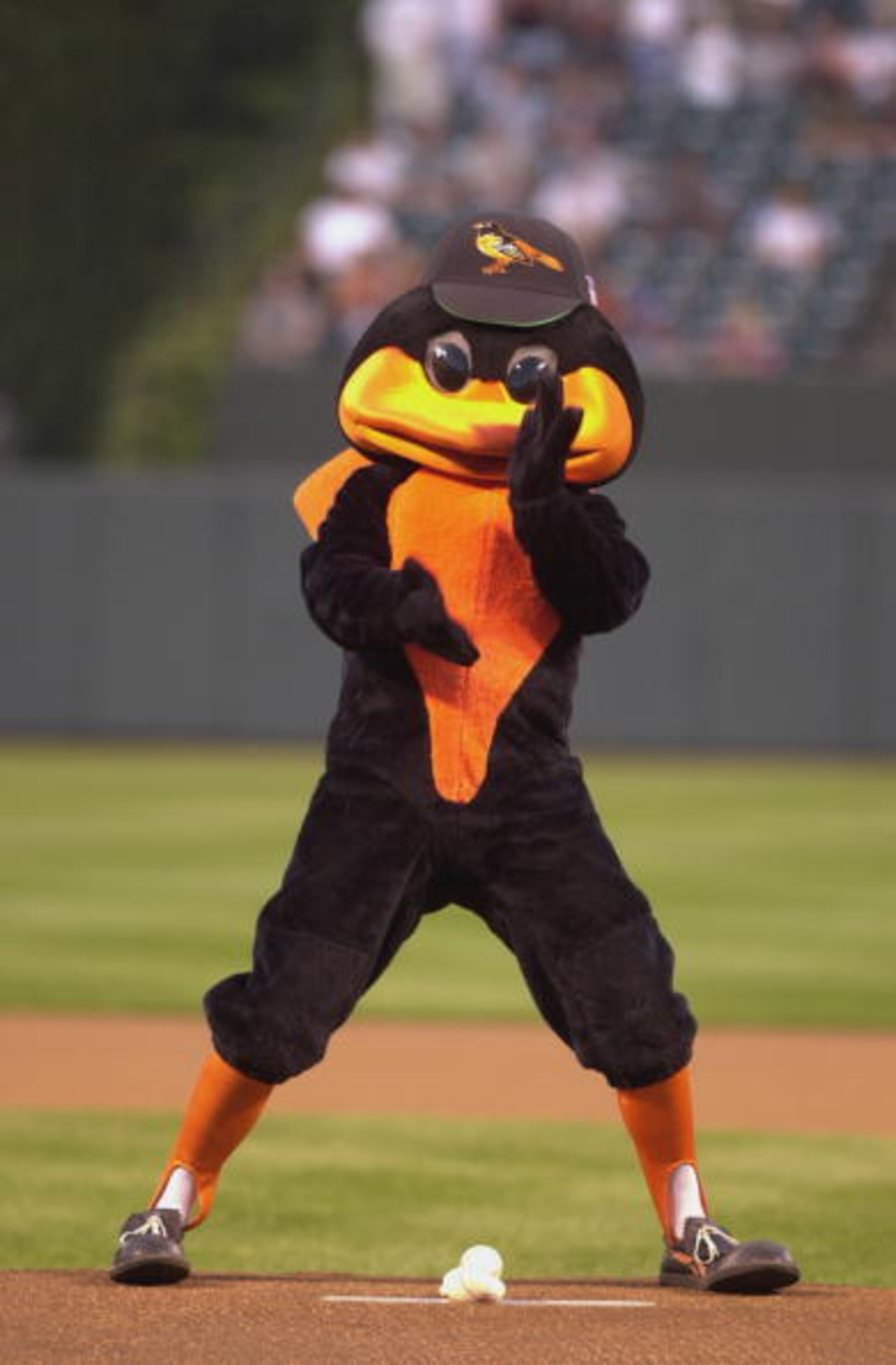 BALTIMORE, MD - SEPTEMBER 23:  The Baltimore Orioles Mascot plays around on the field prior to the start of the game agaisnt the New York Yankees on September 23, 2001 at Oriole Park at Camden Yards in Baltimore, Maryland.  The Yankees won 5-4.  (Photo by