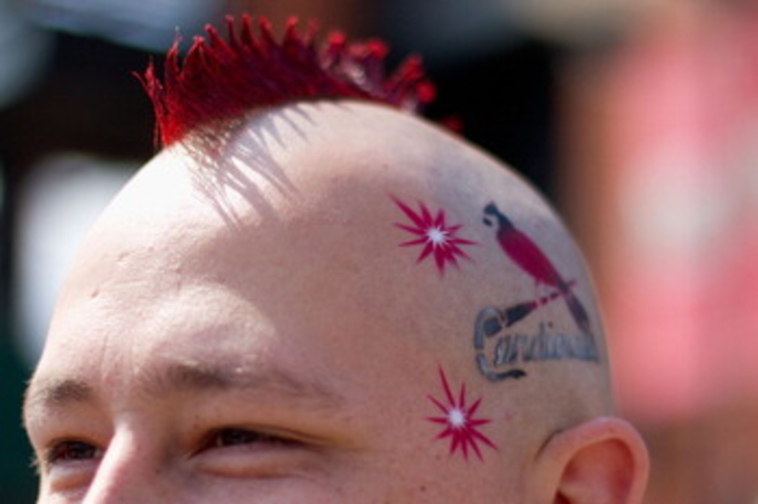 ST. LOUIS, MO - MARCH 31: A St. Louis Cardinals fan shows his team spirit on opening day at Busch Stadium on March 31, 2011 in St. Louis, Missouri.  (Photo by Dilip Vishwanat/Getty Images)