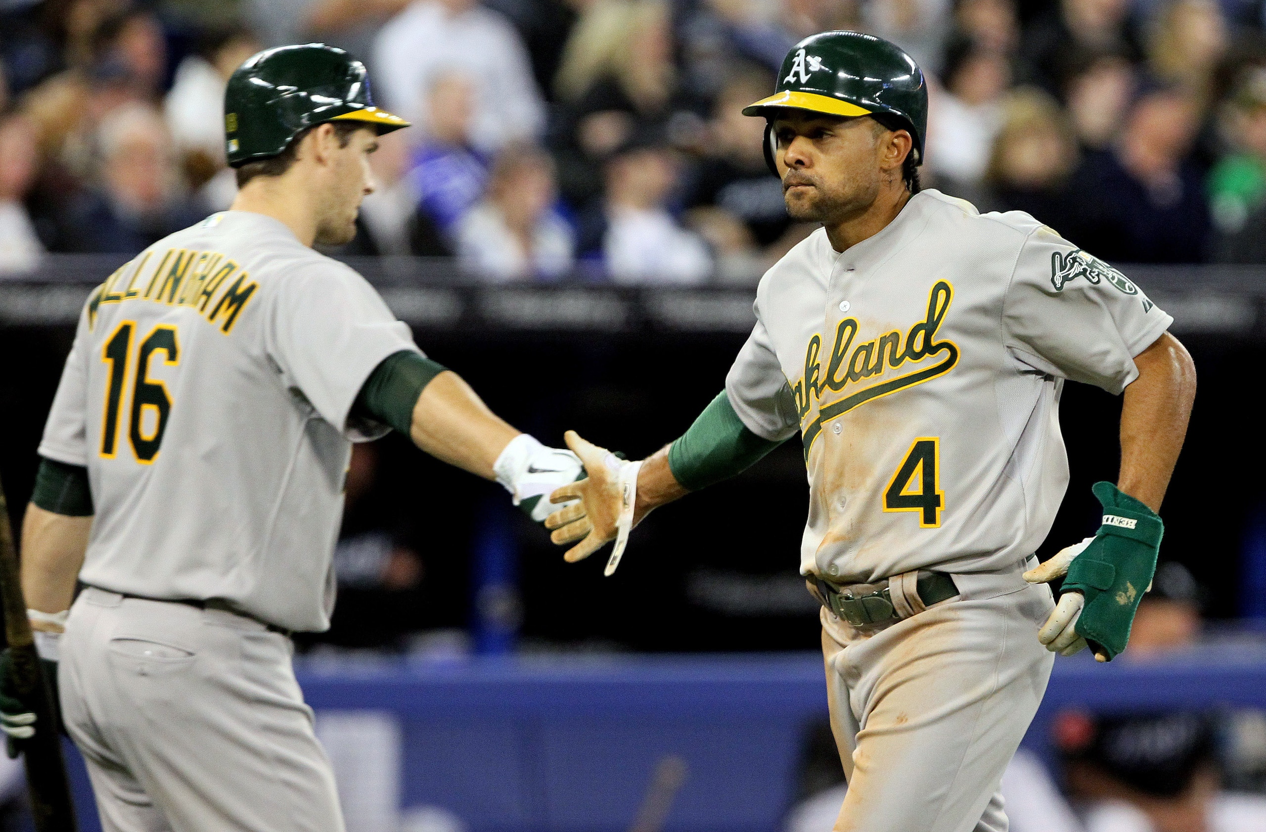 TORONTO, CANADA - APRIL 7: Coco Crisp #4 and Josh Willingham #16 of the Oakland Athletics celebrate run during MLB action between the Toronto Blue Jays and the Oakland Athletics at the Rogers Centre April 7, 2011 in Toronto, Ontario, Canada. (Photo by Abe