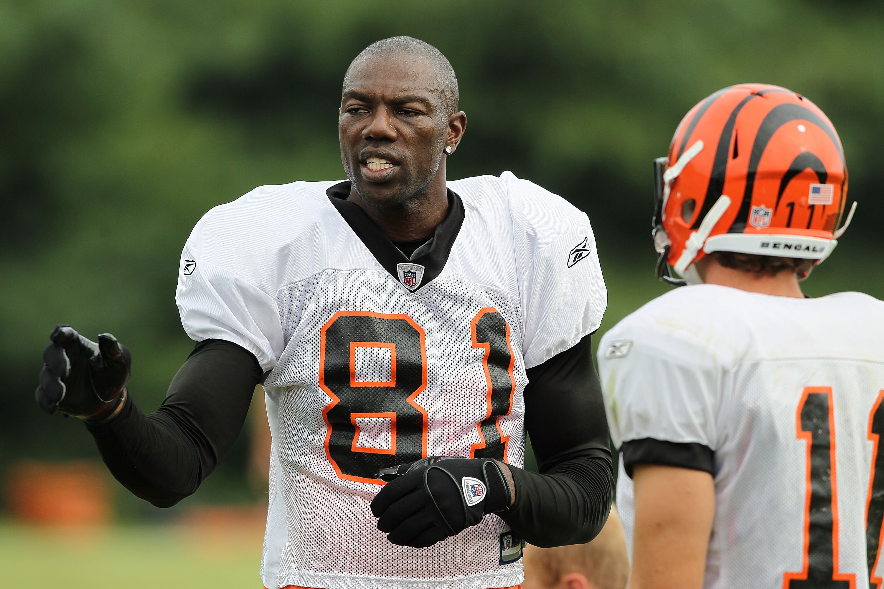 GEORGETOWN, KY - JULY 31:  Terrell Owens #81 of the Cincinnati Bengals is pictured during the Bengals training camp at Georgetown College on July 31, 2010 in Georgetown, Kentucky.  (Photo by Andy Lyons/Getty Images)