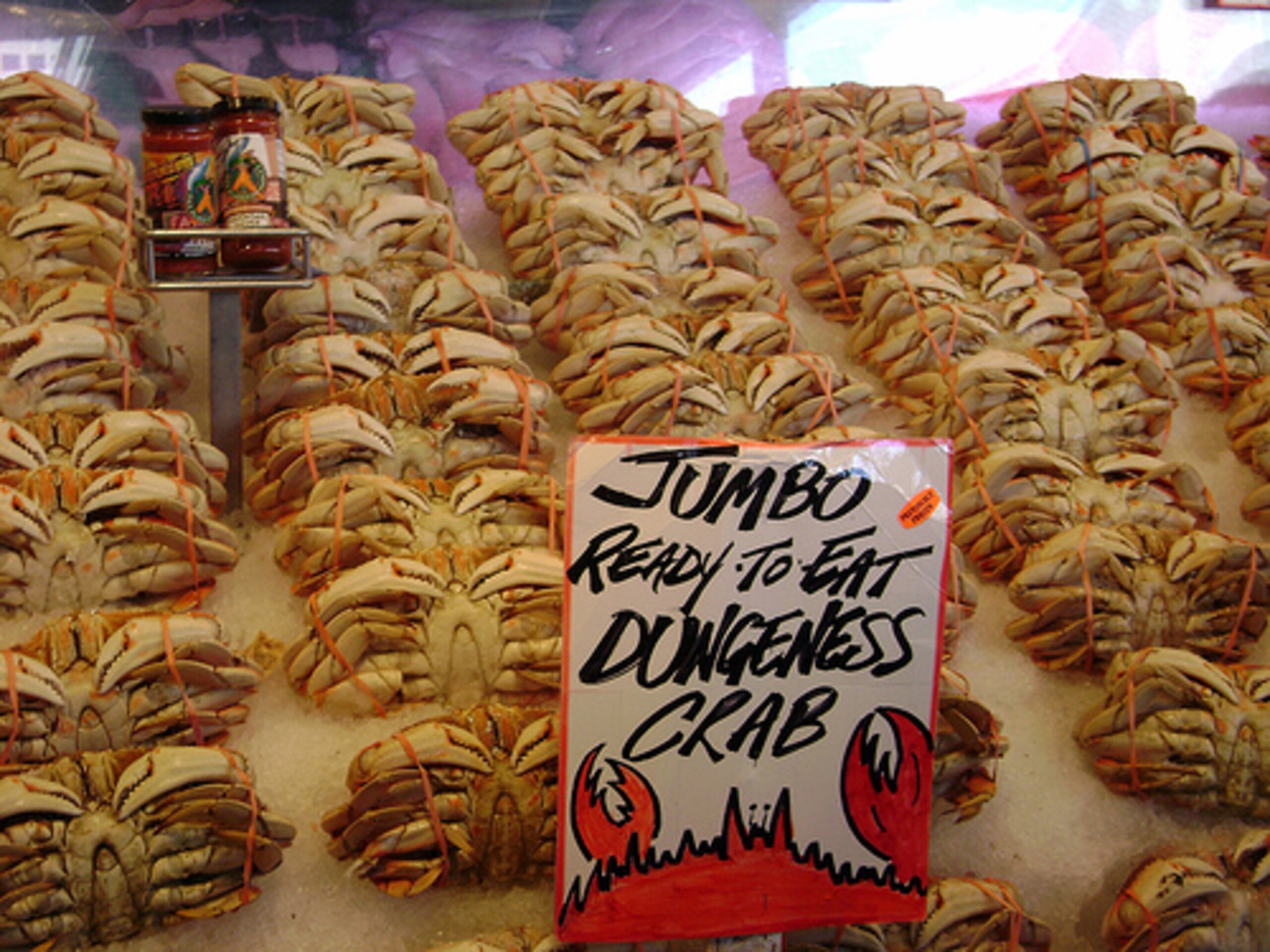 The marvelous and magnanimous dungeness crab.