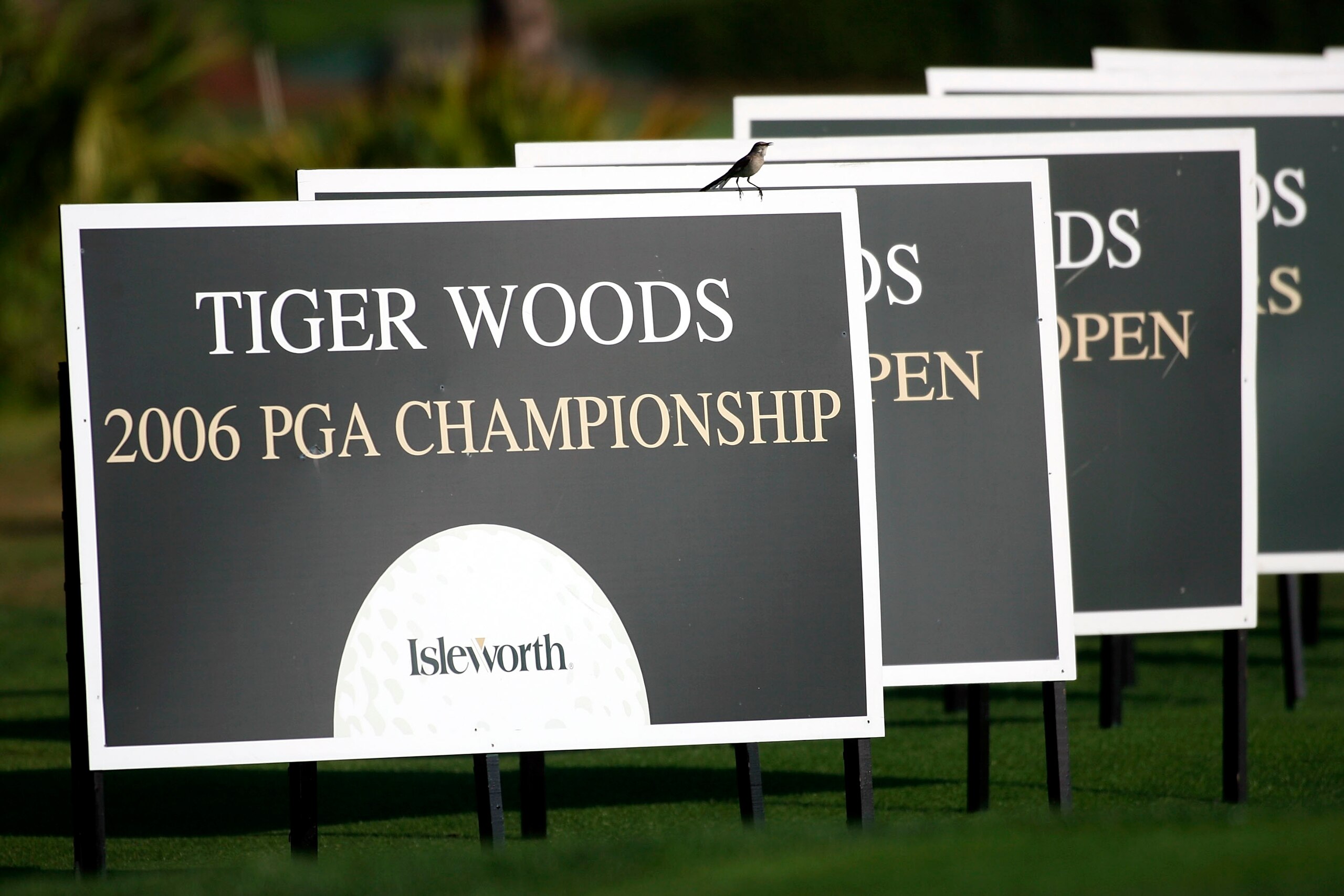 ORLANDO, FL - MARCH 26:  The major championships won by Tiger Woods are noted on these boards at the Tavistock Cup at Lake Nona March 26, 2007 in Orlando, Florida.  (Photo by Marc Serota/Getty Images)