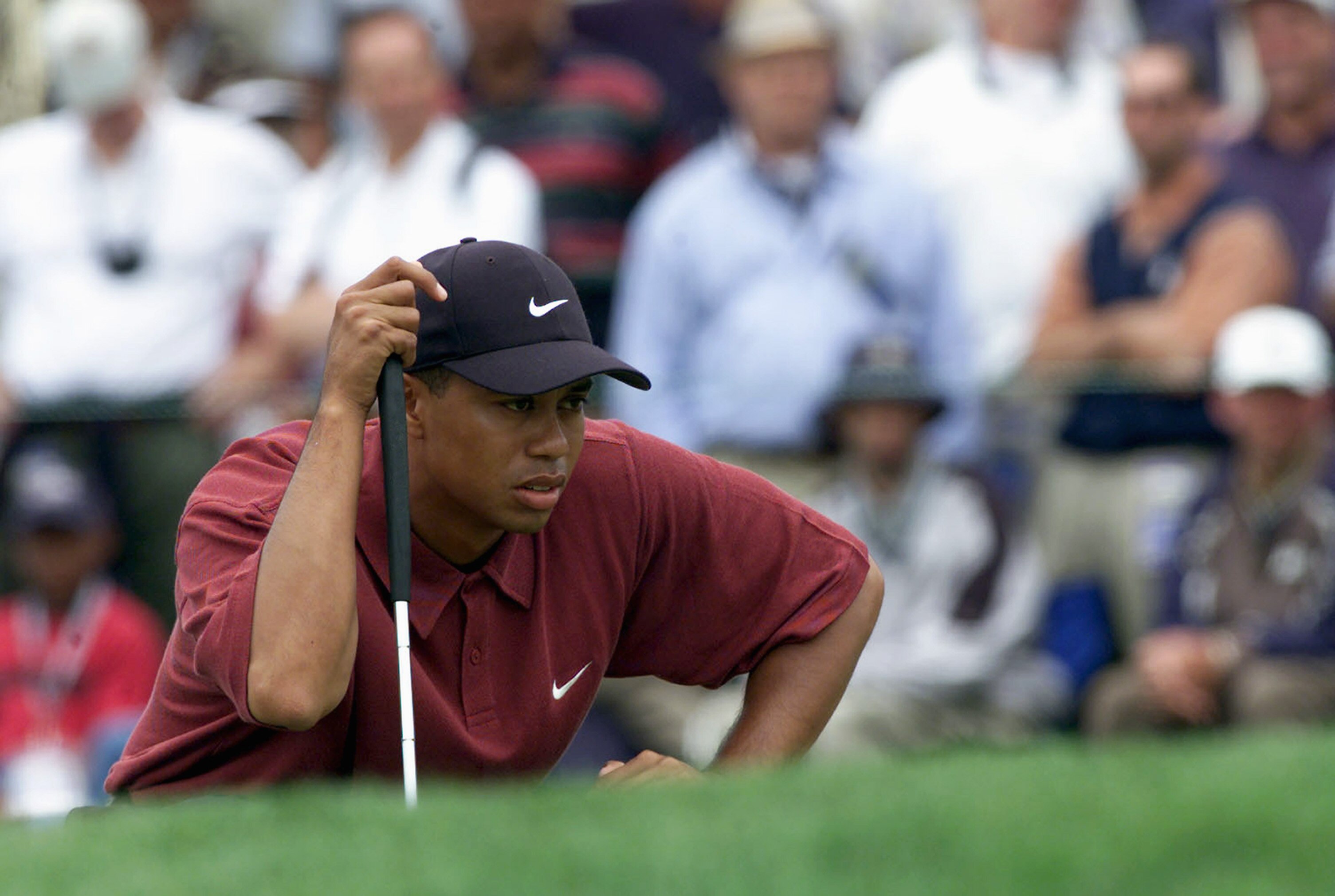 MONTEREY - JUNE 18:  Tiger Woods lines up a putt on the first green during the final round of the 100th US Open at Pebble Beach on June 18,2000 in Monterey, California.  (Mandatory Credit: Jonathan Ferrey/Getty Images)