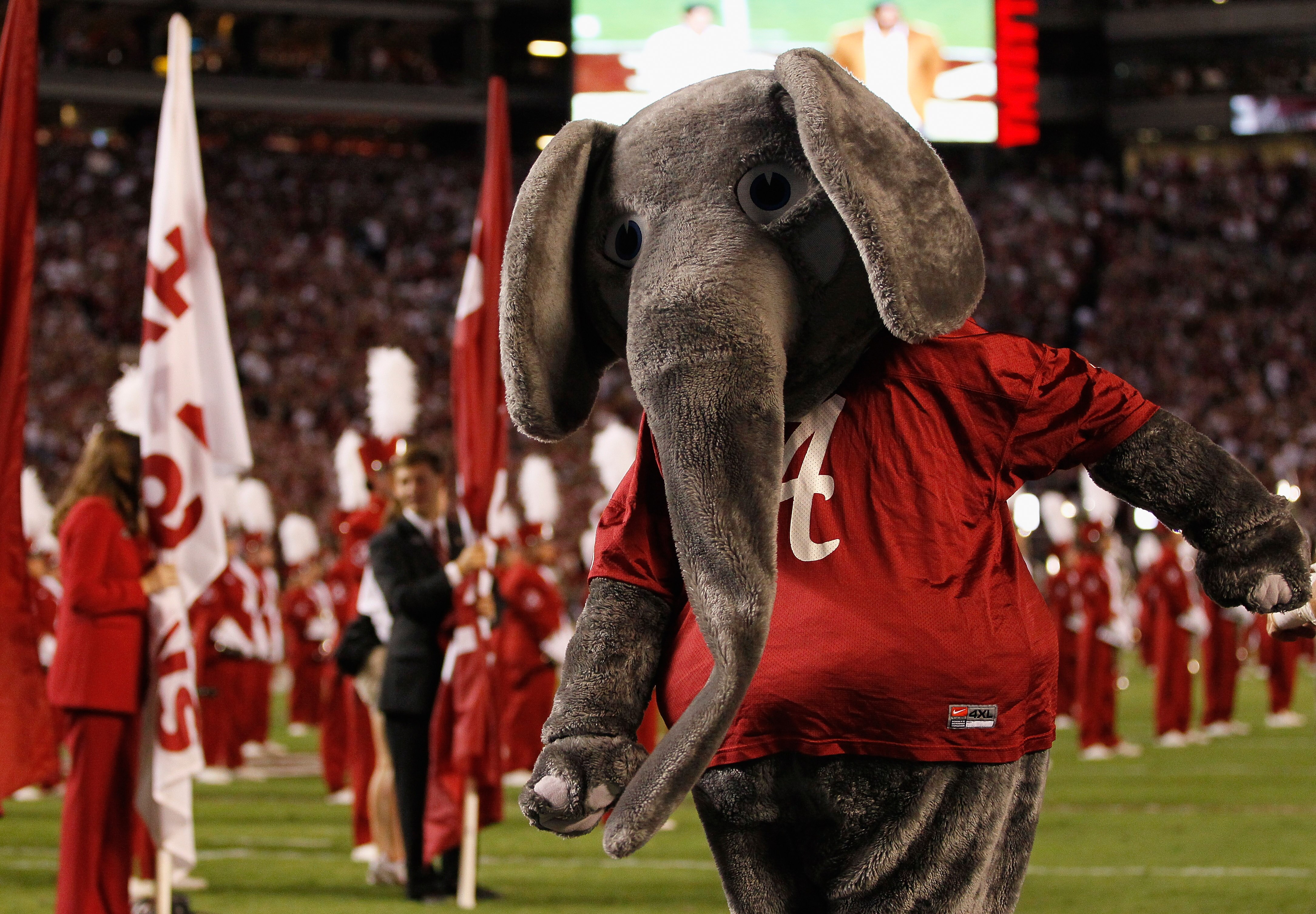 TUSCALOOSA, AL - OCTOBER 02:  Big Al, mascot of the Alabama Crimson Tide, against the Florida Gators at Bryant-Denny Stadium on October 2, 2010 in Tuscaloosa, Alabama.  (Photo by Kevin C. Cox/Getty Images)