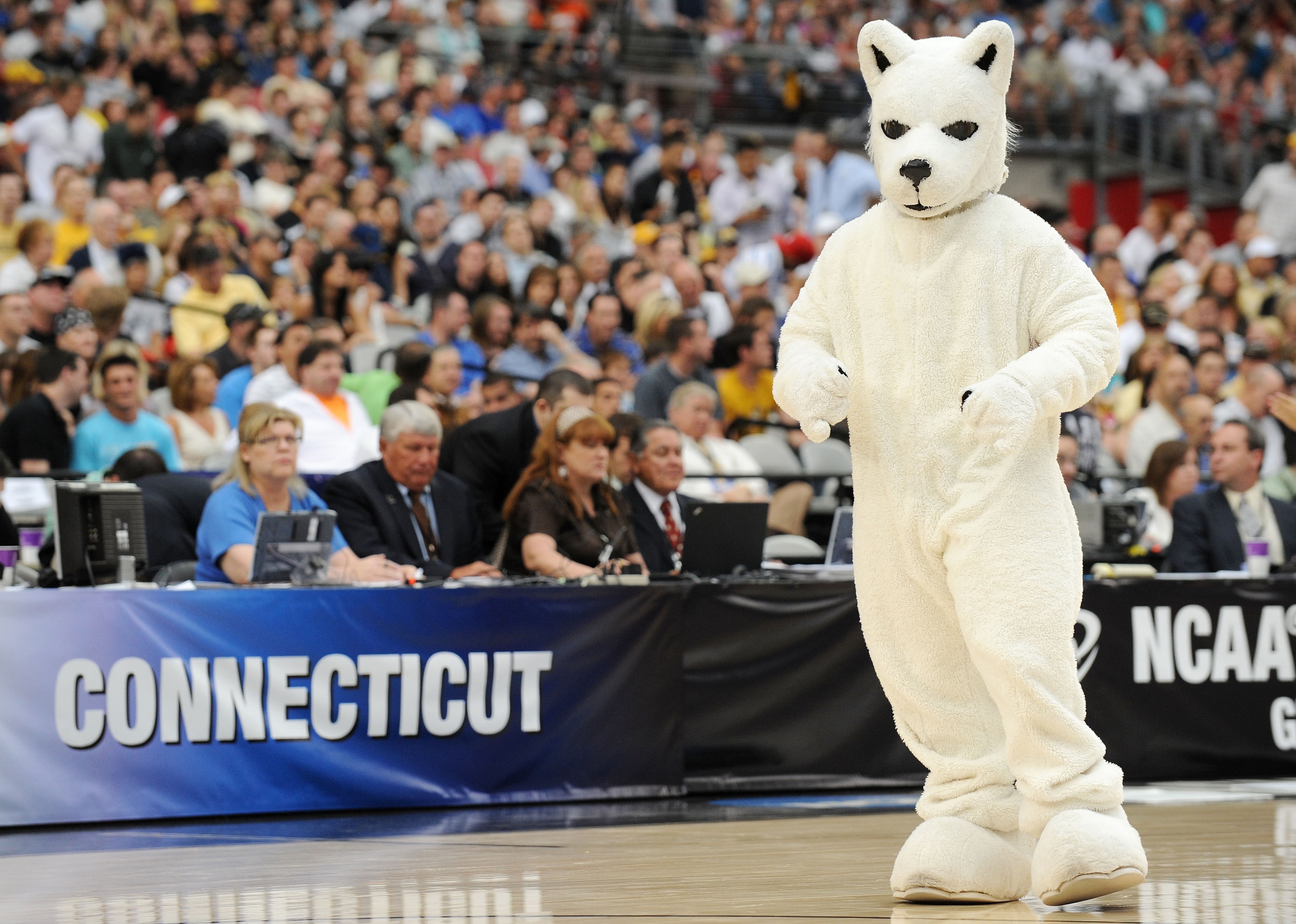 GLENDALE, AZ - MARCH 28: The mascot of the Connecticut Huskies performs during the game against the Missouri Tigers in the Elite Eight of the NCAA Division I Men's Basketball Tournament at the University of Phoenix Stadium on March 28, 2009 in Glendale, GLENDALE, AZ - MARCH 28: The mascot of the Connecticut Huskies performs during the game against the Missouri Tigers in the Elite Eight of the NCAA Division I Men's Basketball Tournament at the University of Phoenix Stadium on March 28, 2009 in Glendale,