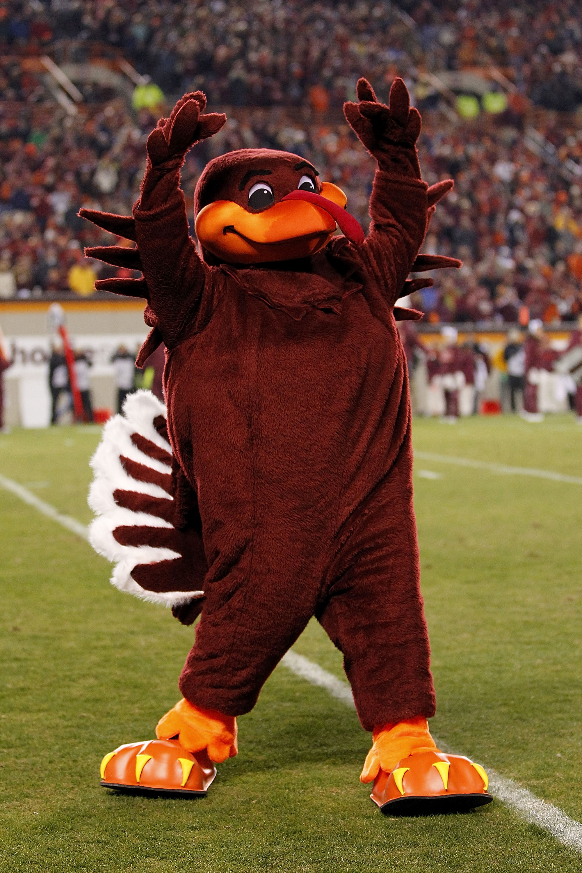 BLACKSBURG, VA - NOVEMBER 04: 'Hokie Bird', the mascot for the Virginia Tech Hokies, performs on the field against the Georgia Tech Yellow Jackets at Lane Stadium on November 4, 2010 in Blacksburg, Virginia.  (Photo by Geoff Burke/Getty Images)