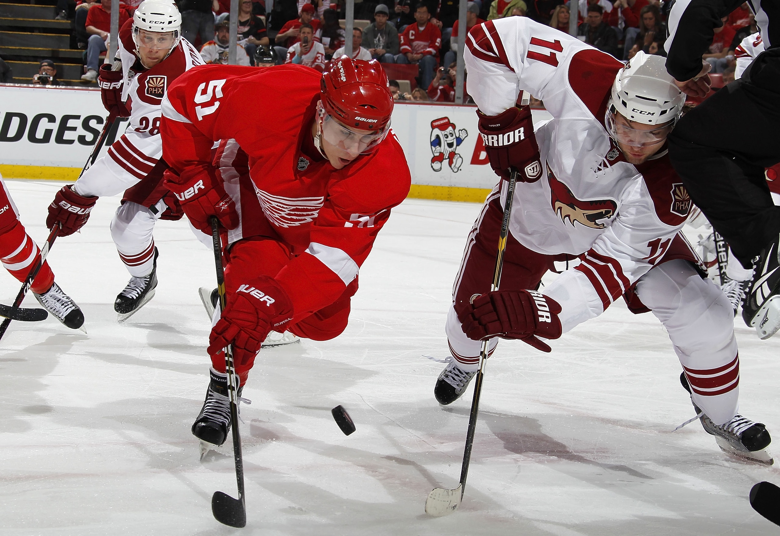 DETROIT, MI - APRIL 16:  Valtteri Filppula #51 of the Detroit Red Wings battles for the puck with Martin Hanzal #11 of the Phoenix Coyotes in Game Two of the Western Conference Quarterfinals during the 2011 Stanley Cup Playoffs at Joe Louis Arena on April