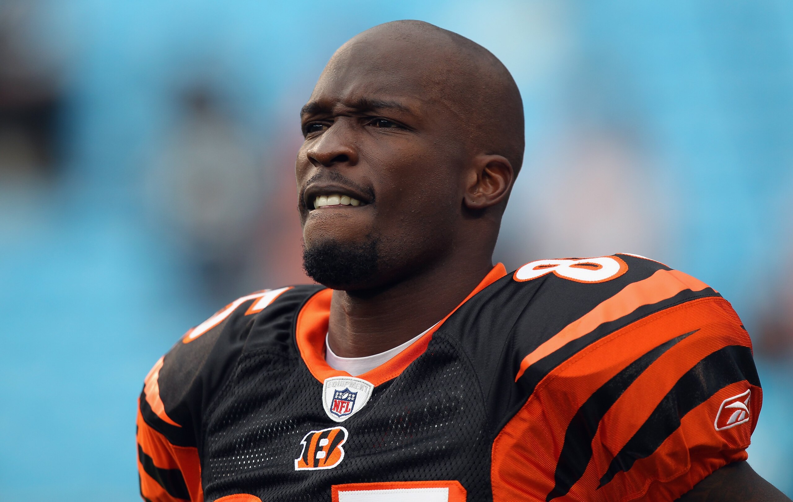 CHARLOTTE, NC - SEPTEMBER 26:  Chad Ochocinco #85 of the Cincinnati Bengals during their game against the Carolina Panthers at Bank of America Stadium on September 26, 2010 in Charlotte, North Carolina.  (Photo by Streeter Lecka/Getty Images)
