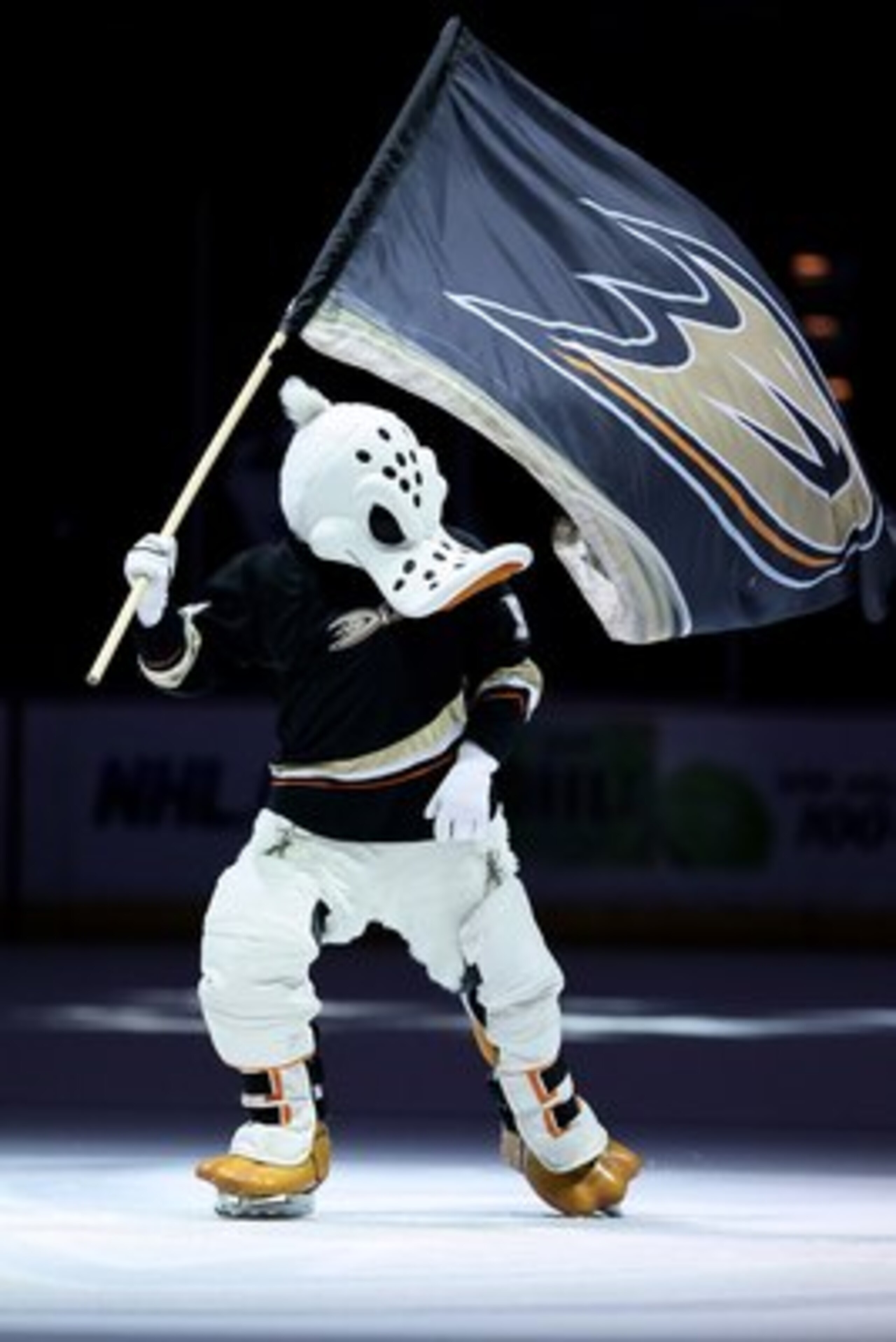 ANAHEIM, CA - MARCH 29:  Anaheim Ducks mascot Wild Wing skates following the game against the Dallas Stars at the Honda Center on March 29, 2010 in Anaheim, California.  (Photo by Jeff Gross/Getty Images)