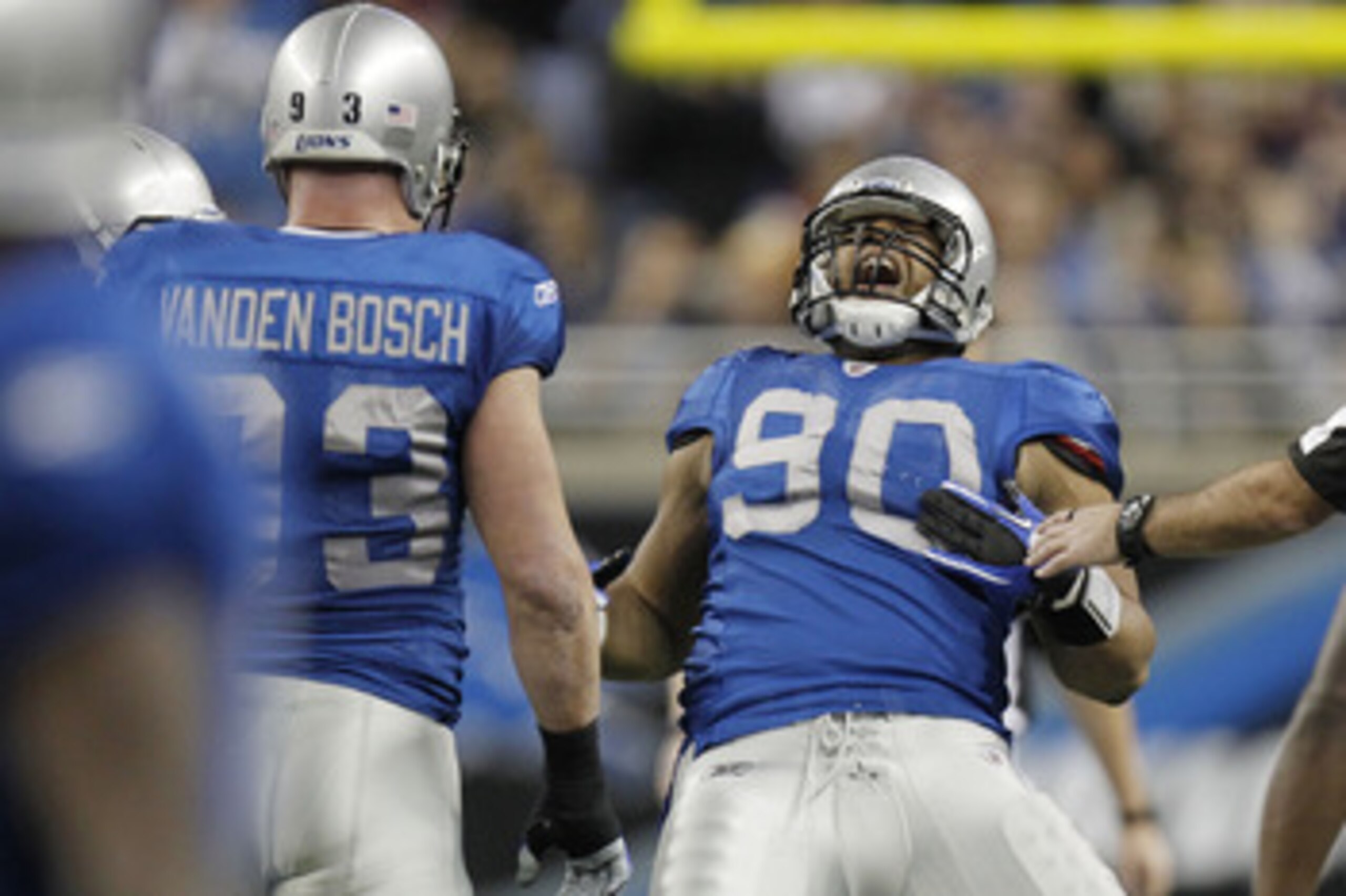 DETROIT - NOVEMBER 25:  Ndamukong Suh #90 of the Detroit Lions celebrates a first quarter sack next to Kyle Vanden Bosch #93 while playing the New England Patriots on November 25, 2010 at Ford Field in Detroit, Michigan.  (Photo by Gregory Shamus/Getty Im