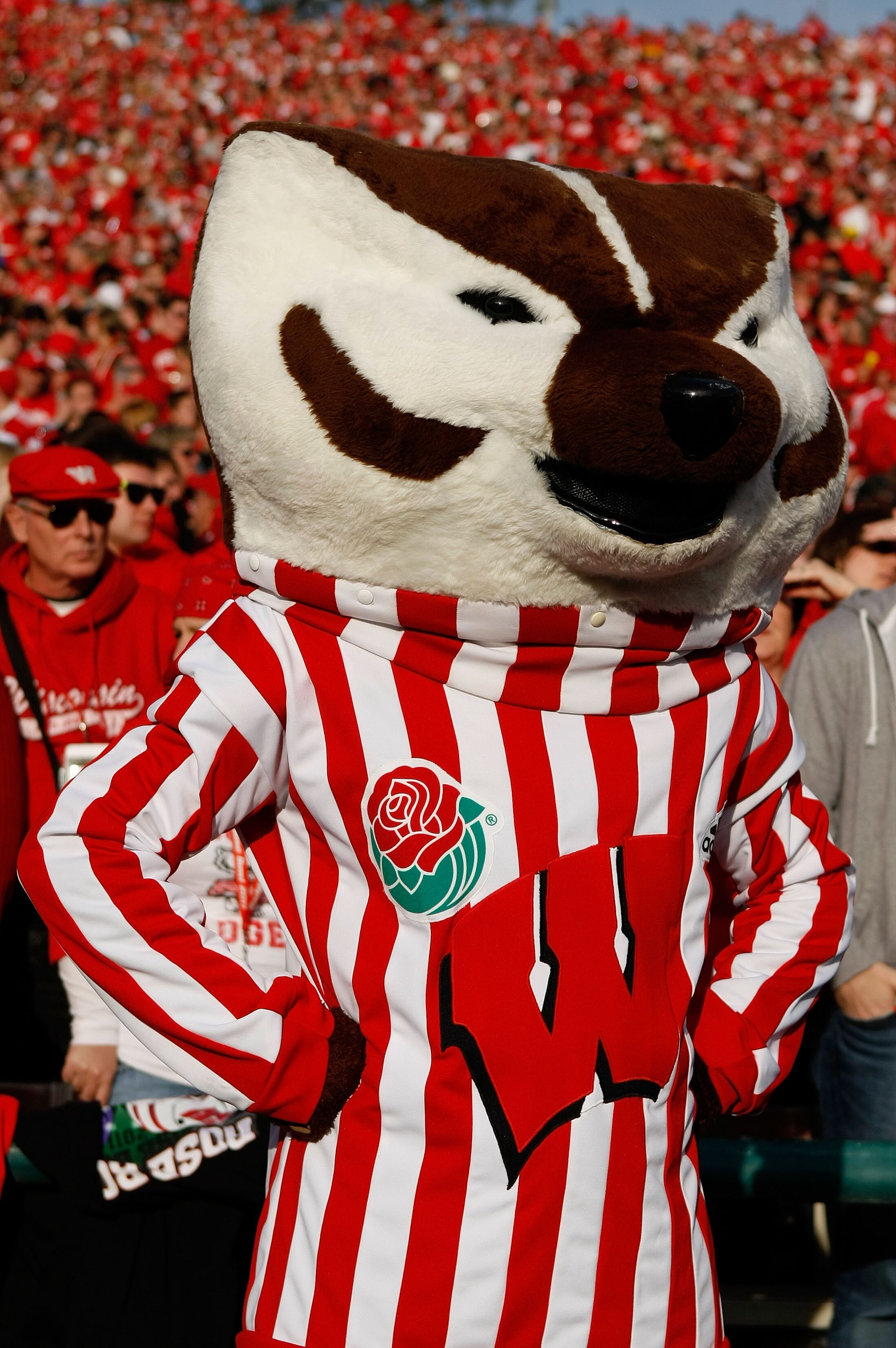 PASADENA, CA - JANUARY 01:  Bucky Badger of the Wisconsin Badgers looks on during the game against the TCU Horned Frogs in the 97th Rose Bowl game on January 1, 2011 in Pasadena, California.  (Photo by Jeff Gross/Getty Images)