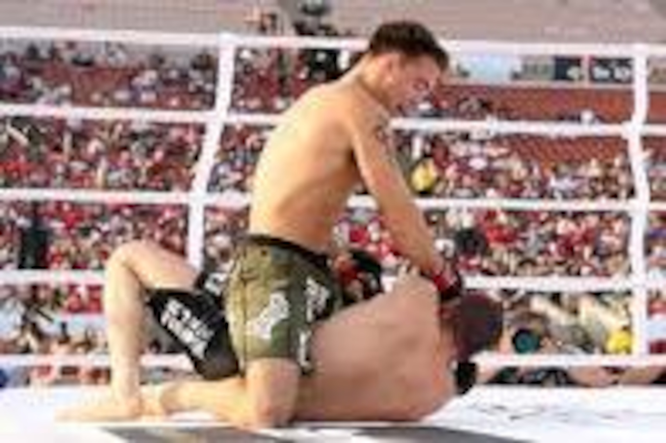 Jake Shields finishing the fight on the mat Jake Shields finishing the fight on the mat