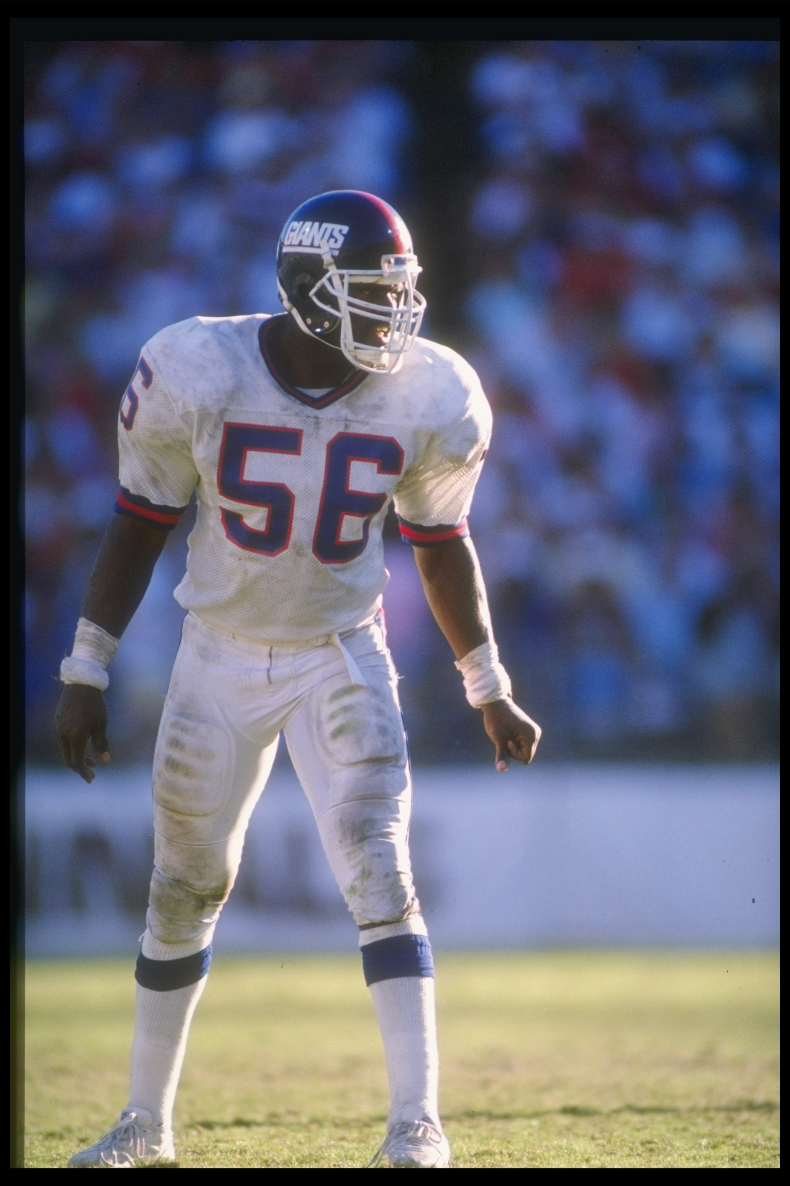 13 Nov 1988:  Linebacker Lawrence Taylor of the New York Giants looks on during a game against the Phoenix Cardinals at Sun Devil Stadium in Tempe, Arizona.  The Cardinals won the game, 24-17. Mandatory Credit: Mike Powell  /Allsport
