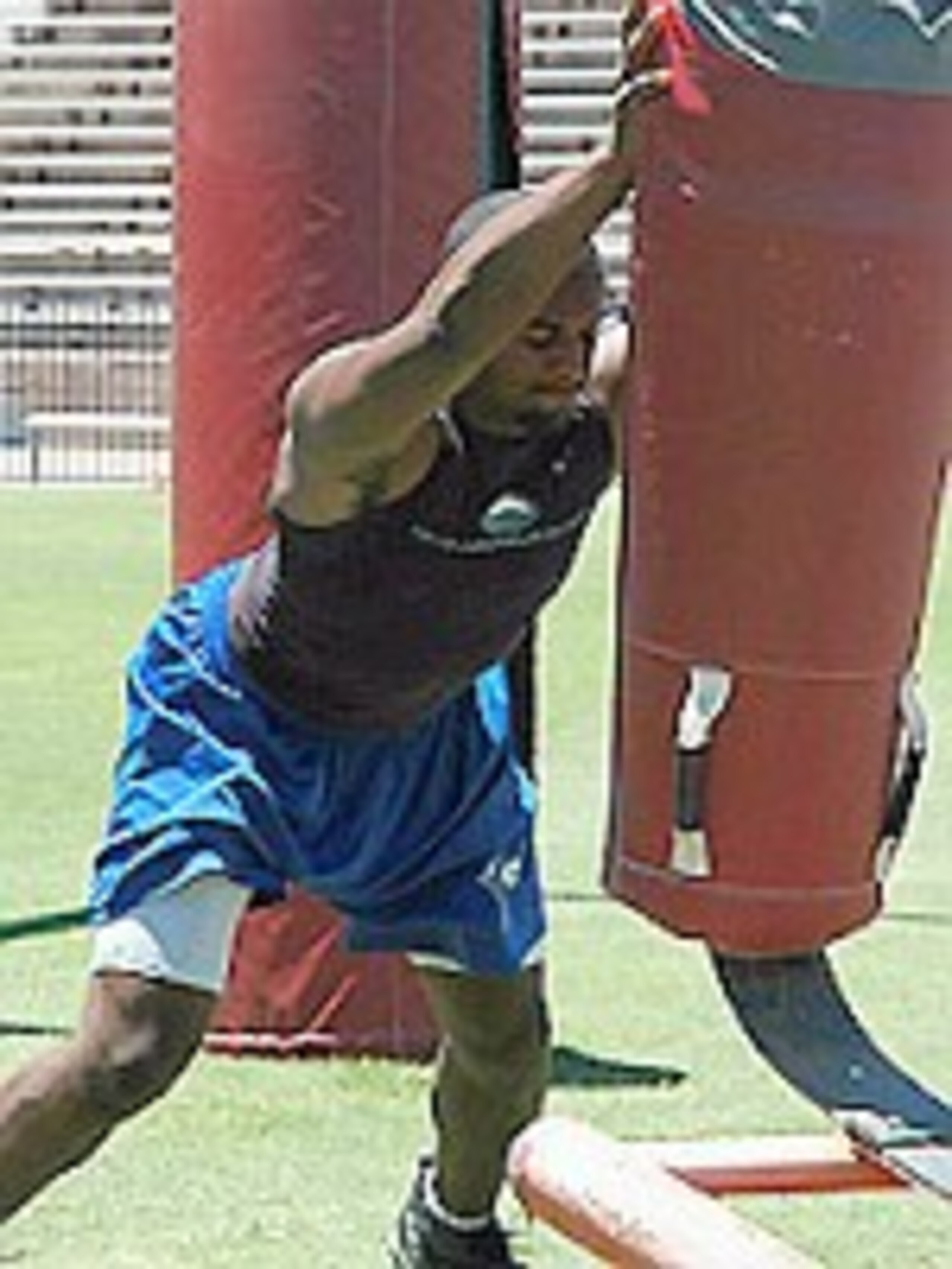 Phot Courtesy of Scout.com