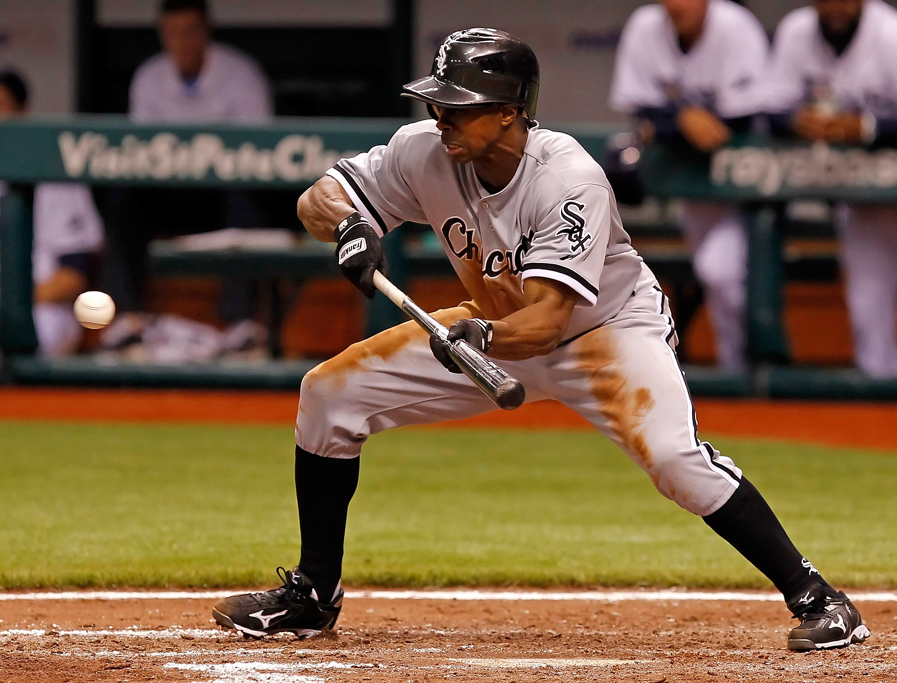 ST. PETERSBURG, FL - APRIL 21:  Outfielder Juan Pierre #1 of the Chicago White Sox bunts against the Tampa Bay Rays during the game at Tropicana Field on April 21, 2011 in St. Petersburg, Florida.  (Photo by J. Meric/Getty Images)